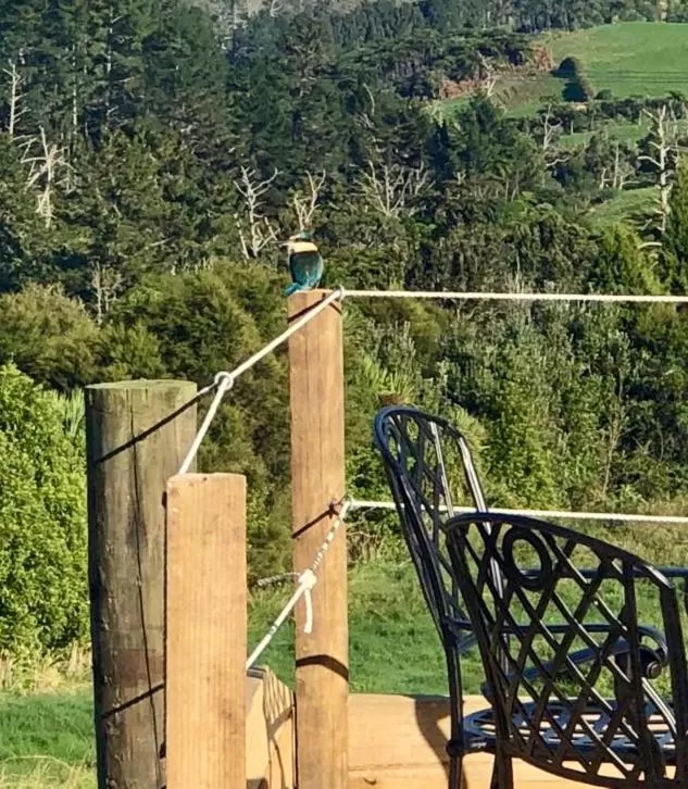 View (from property/room) in Arohanui Rural Retreat B&B