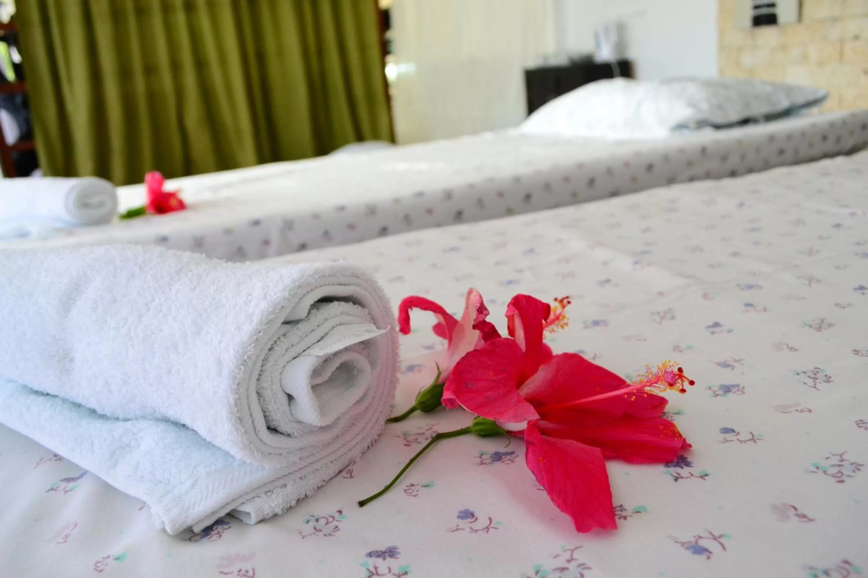 Spa and wellness centre/facilities, Bed in Eden Resort