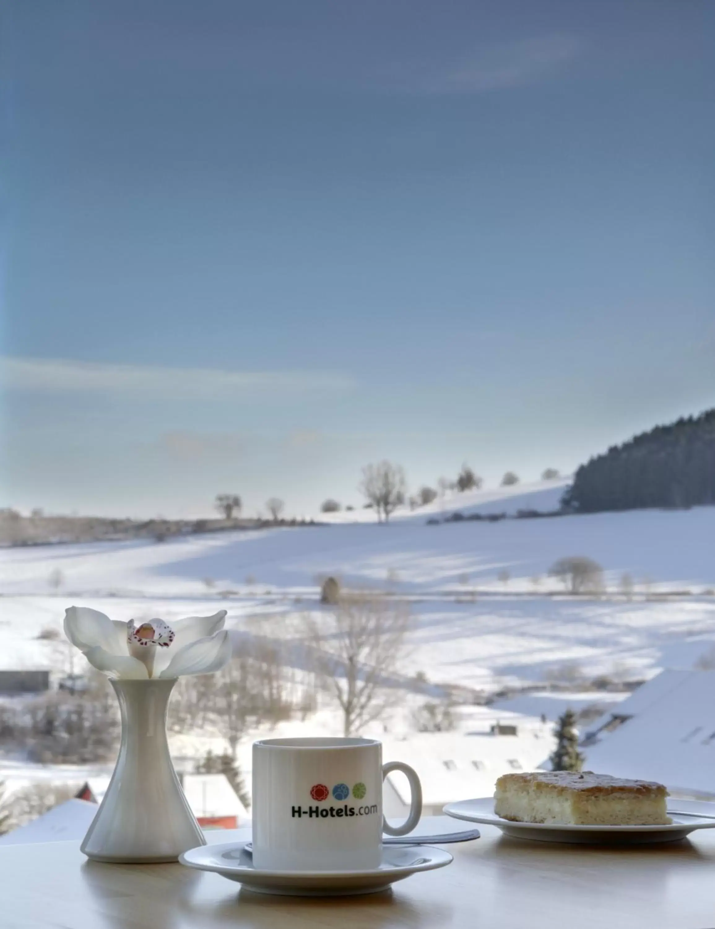 Mountain view in H+ Hotel Willingen Mountain view in H+ Hotel Willingen