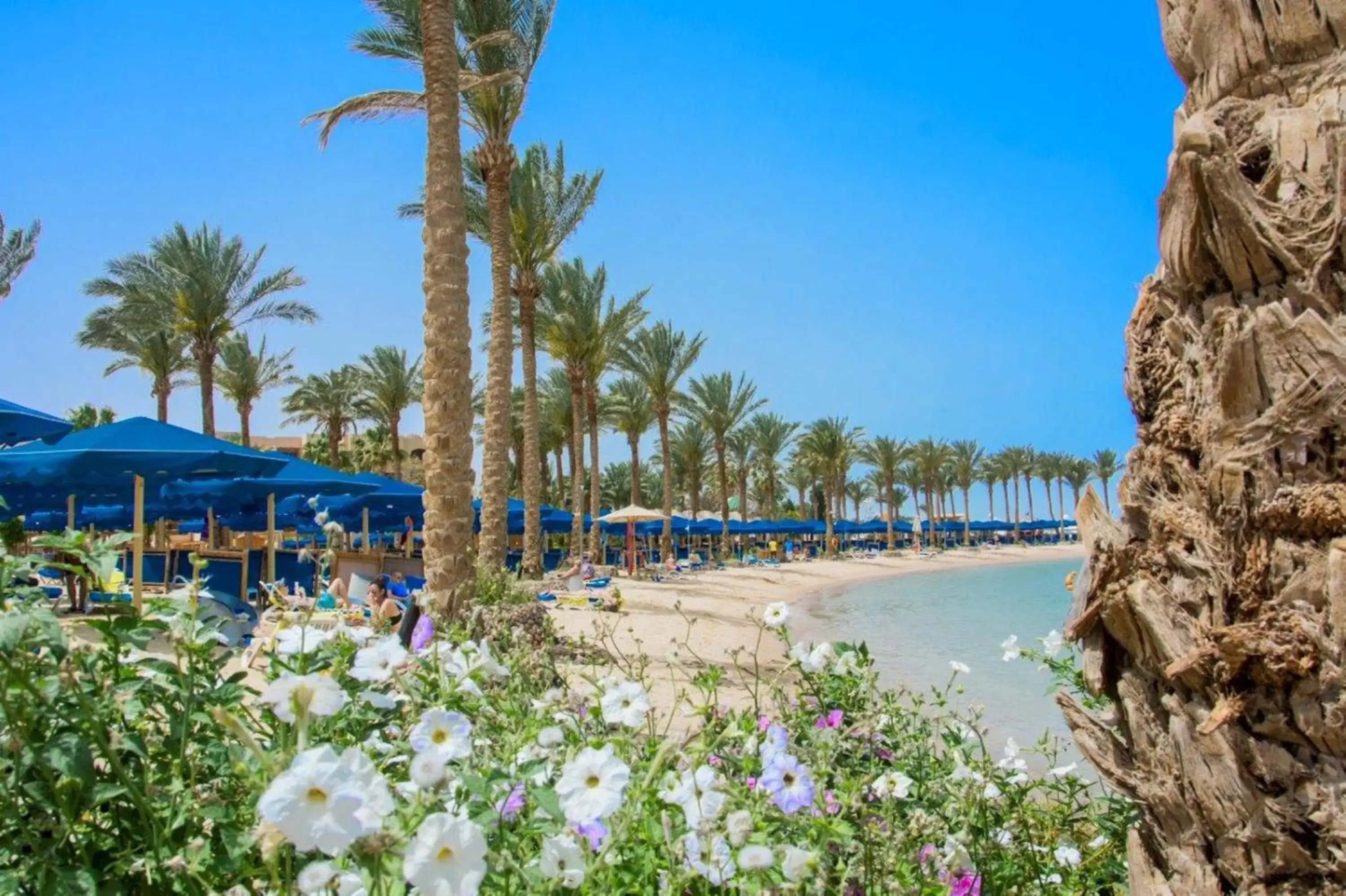 Beach in Continental Hotel Hurghada
