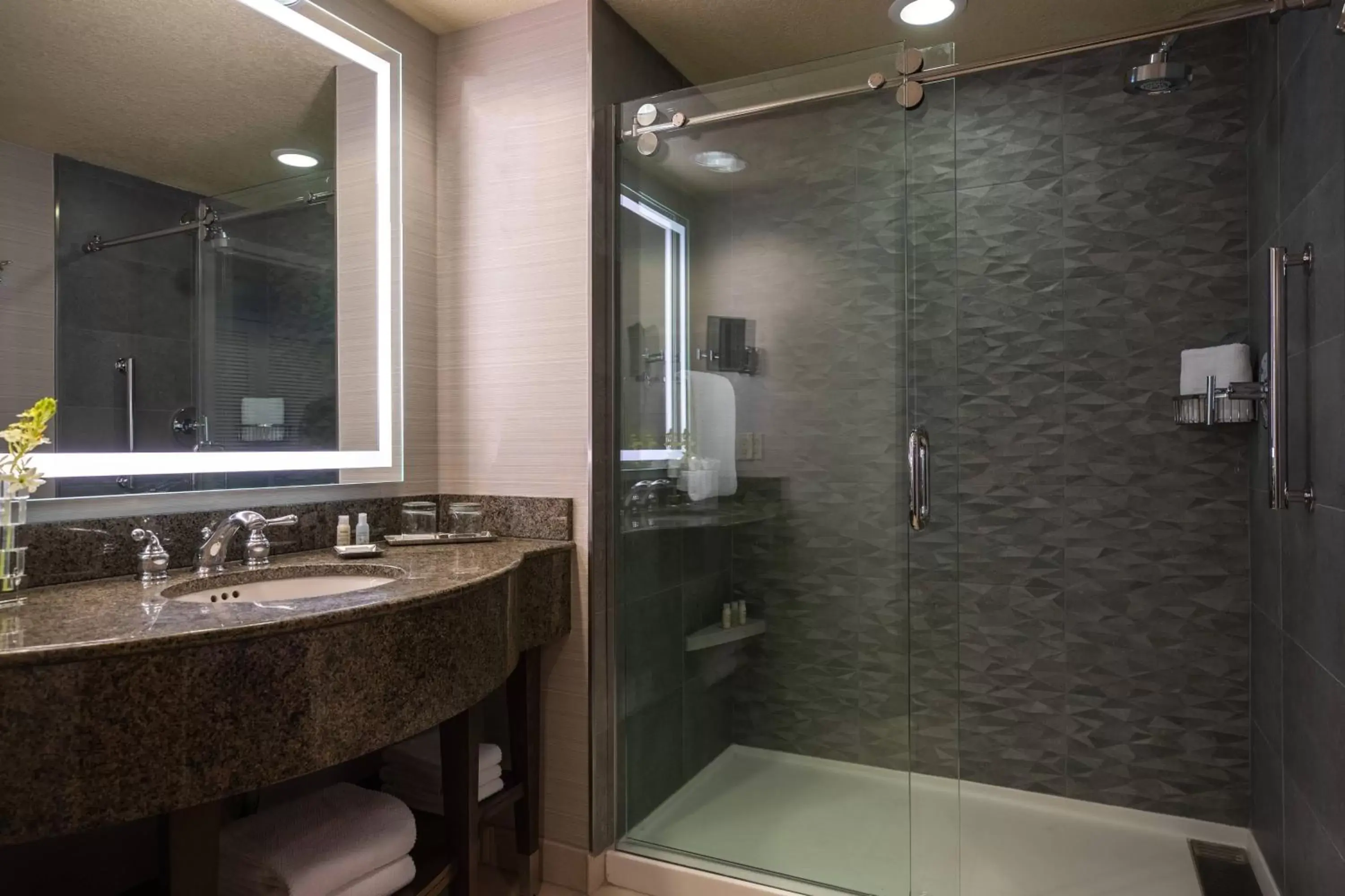 Bathroom in Renaissance Dallas Richardson Hotel