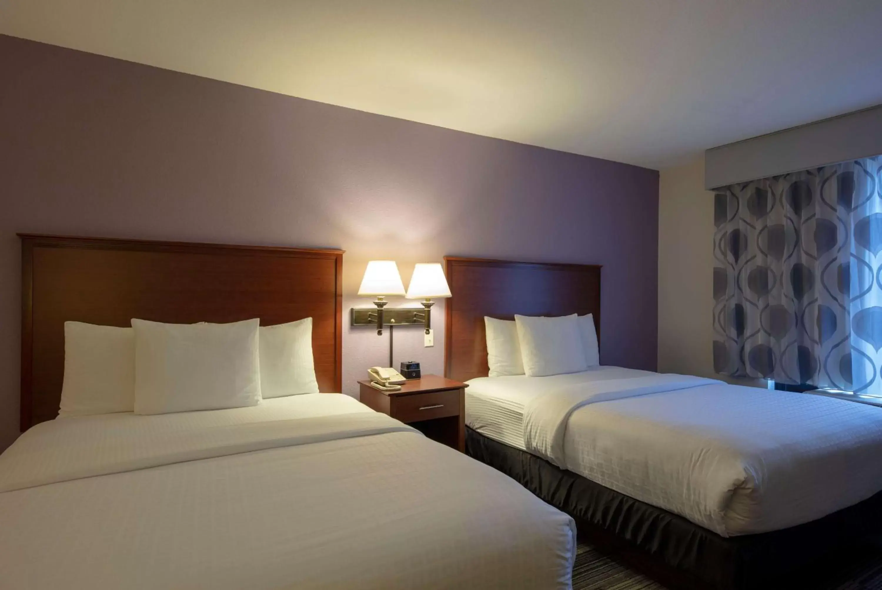 Photo of the whole room, Bed in La Quinta by Wyndham Springfield Airport Plaza