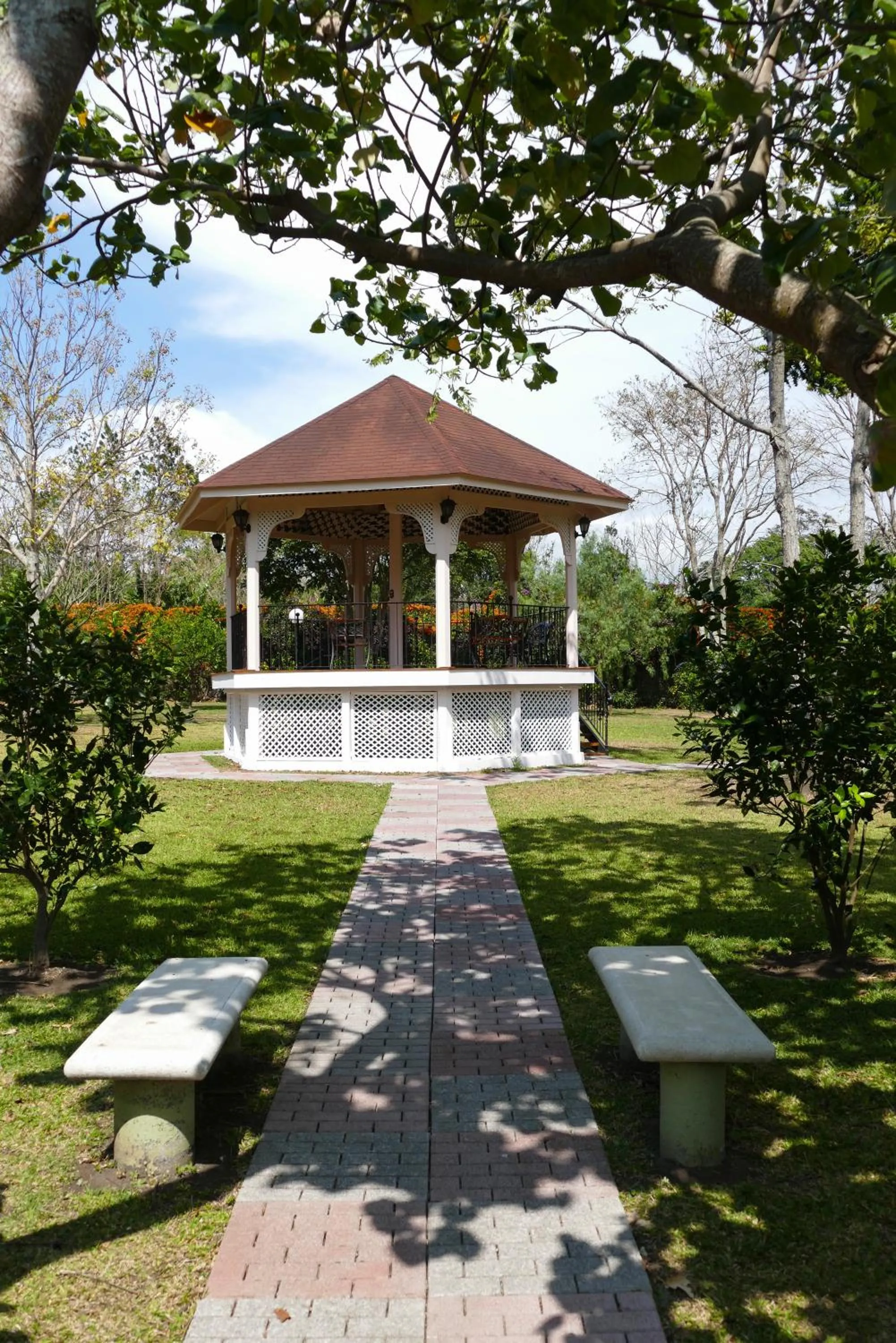 Garden in Hotel Bougainvillea San José