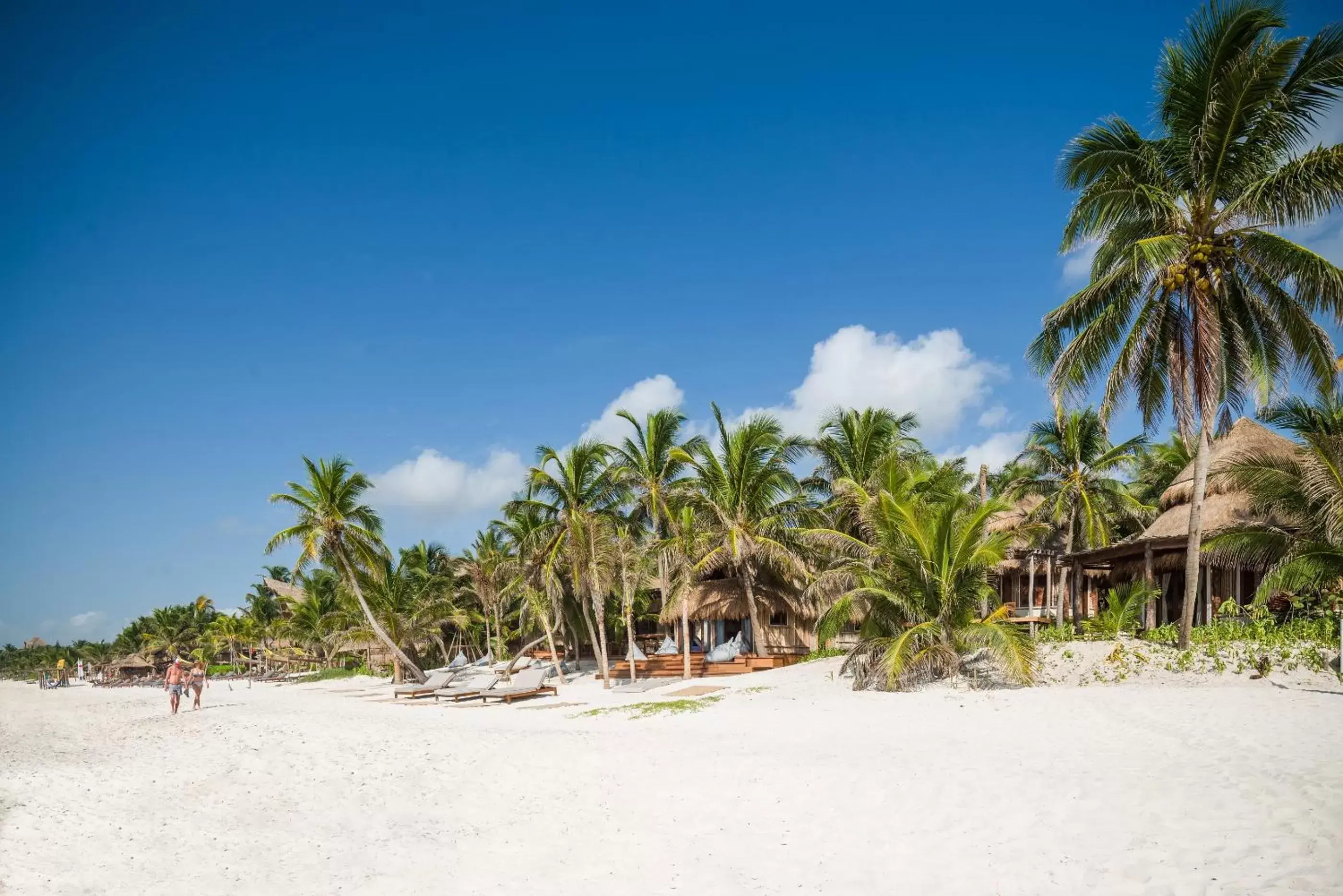 Property building, Beach in Delek Tulum