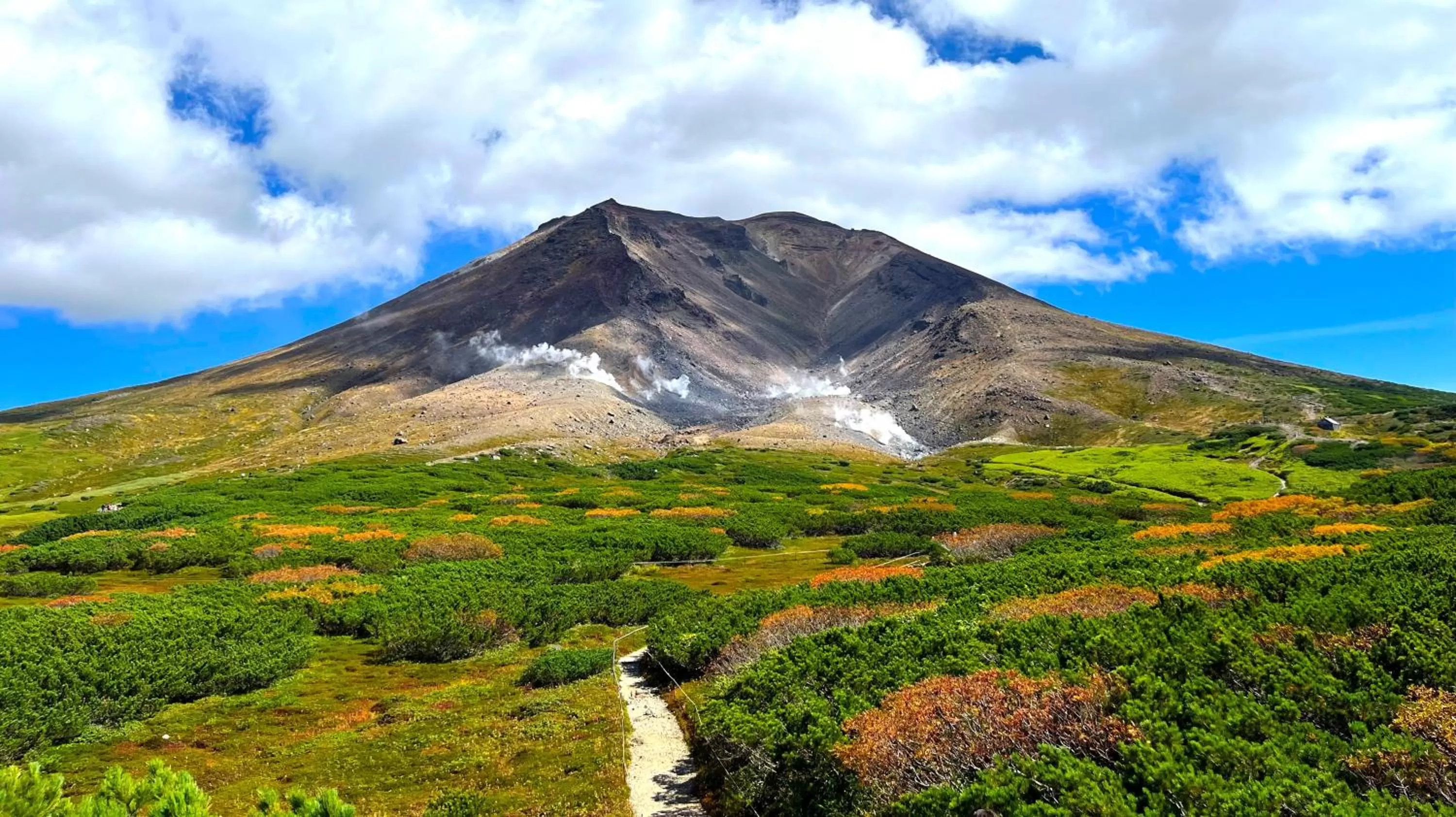 Natural landscape in Court Hotel Asahikawa