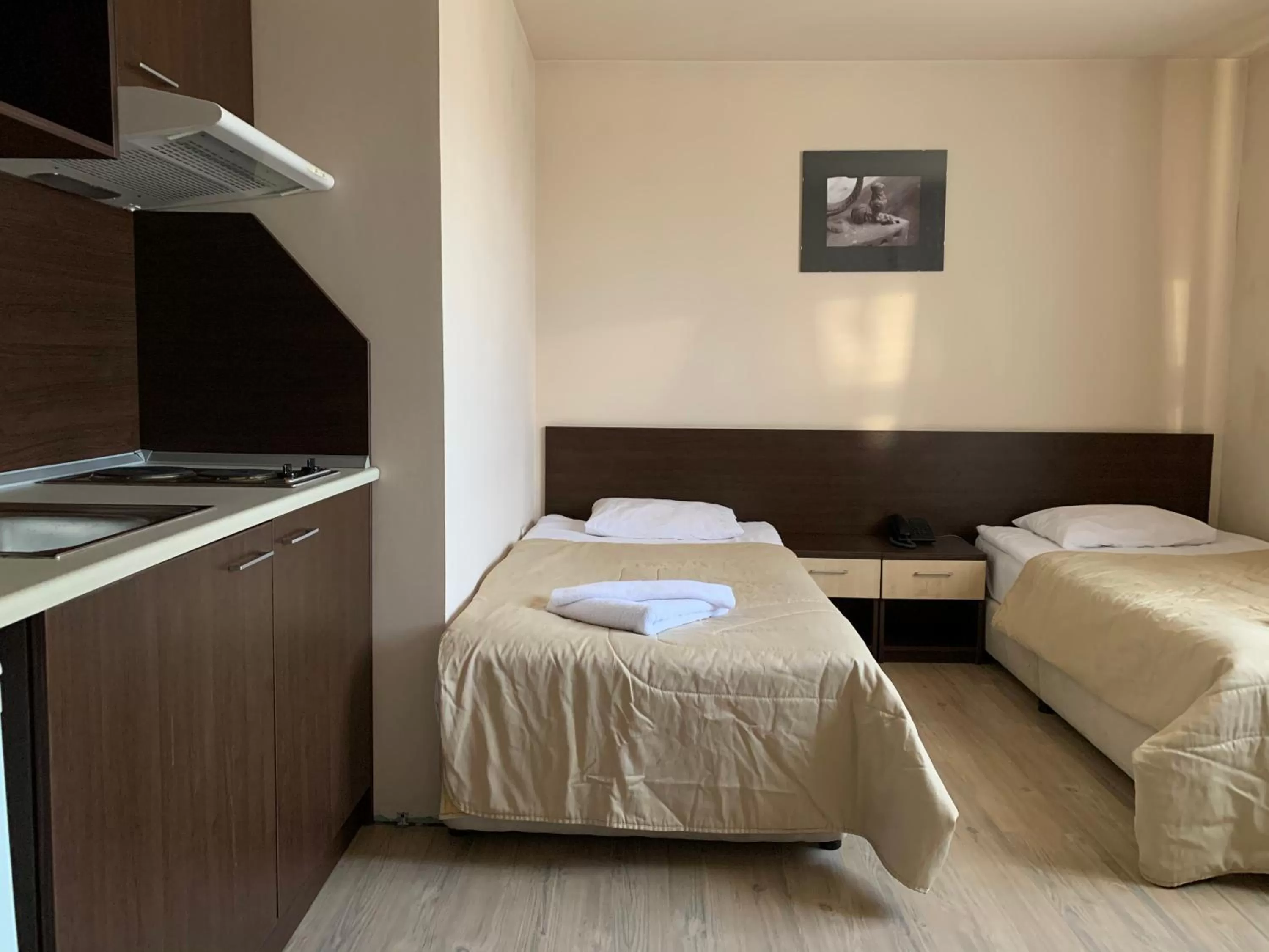 Photo of the whole room, Bed in StayInn Banderitsa Apartments with kitchen & BBQ