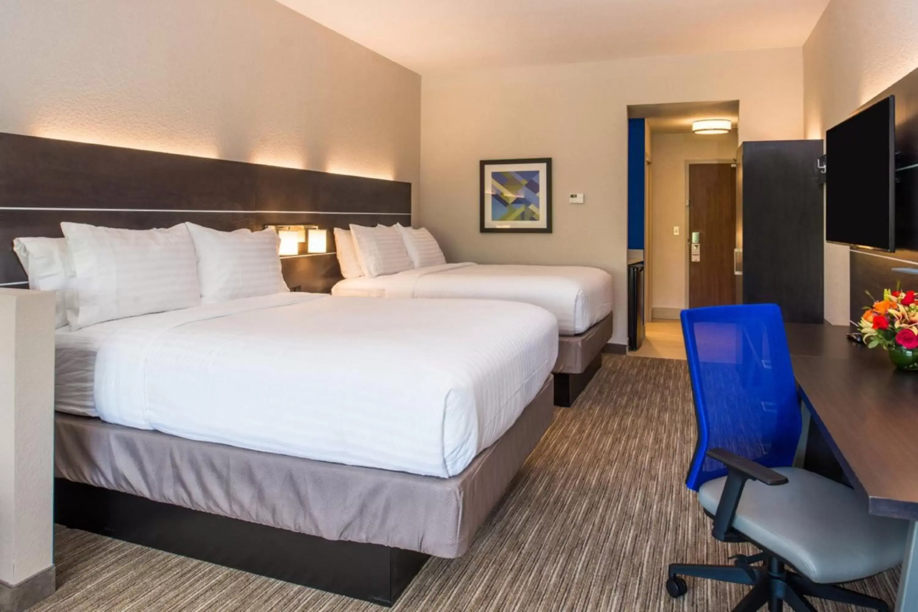 Photo of the whole room, Bed in Holiday Inn Express & Suites - Tampa North - Wesley Chapel, an IHG Hotel