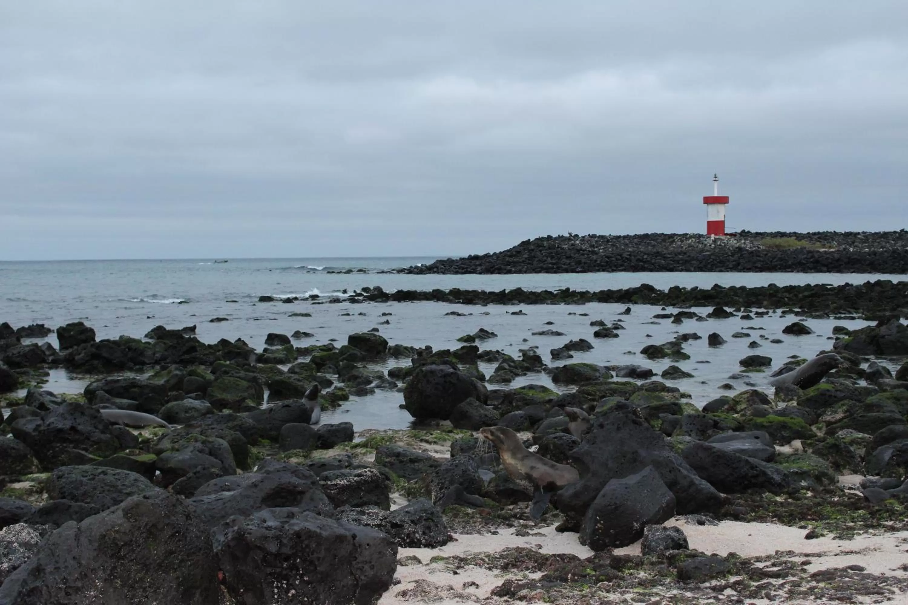 Hostal Cabañas Don Jorge