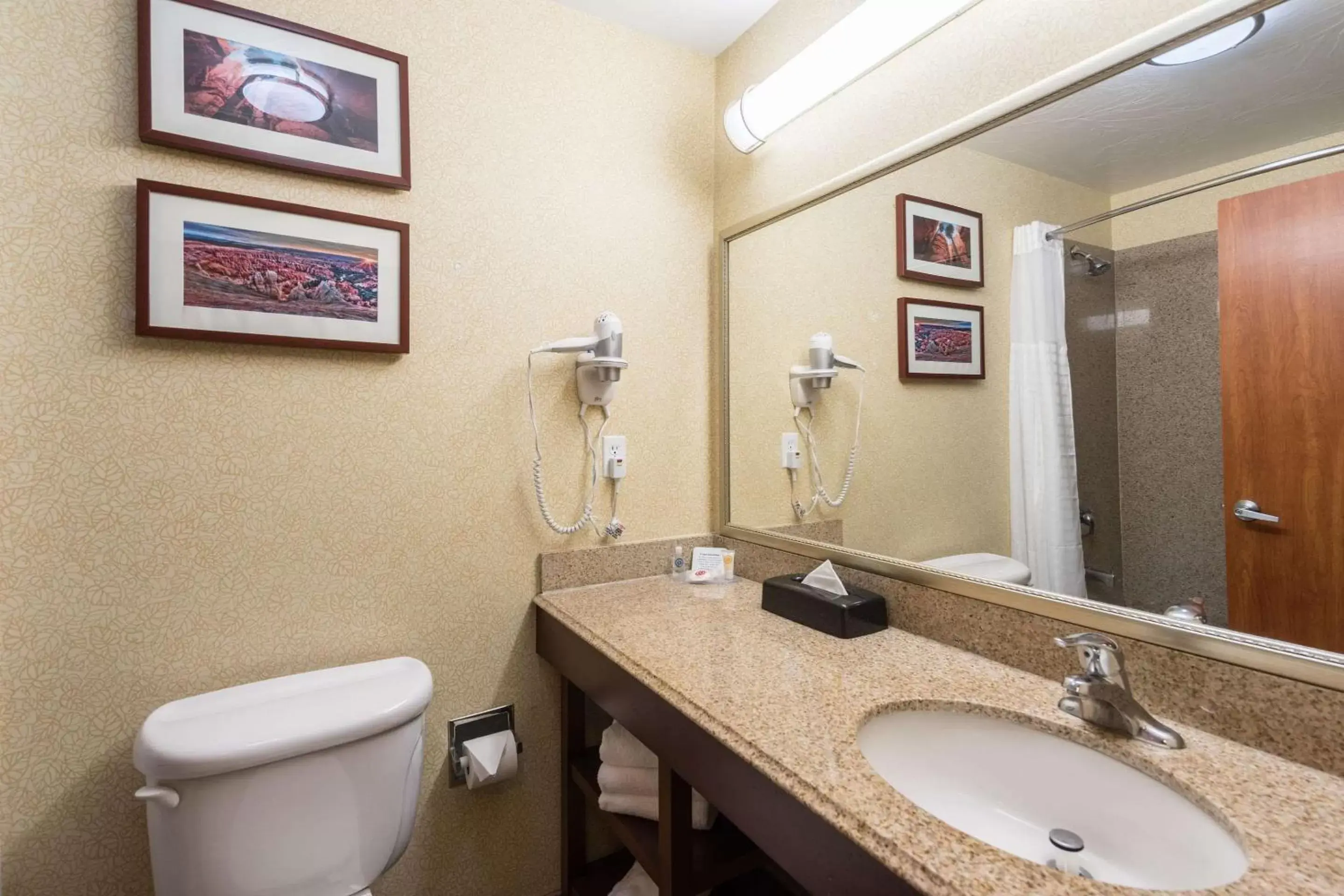 Photo of the whole room, Bathroom in Comfort Inn and Suites Cedar City