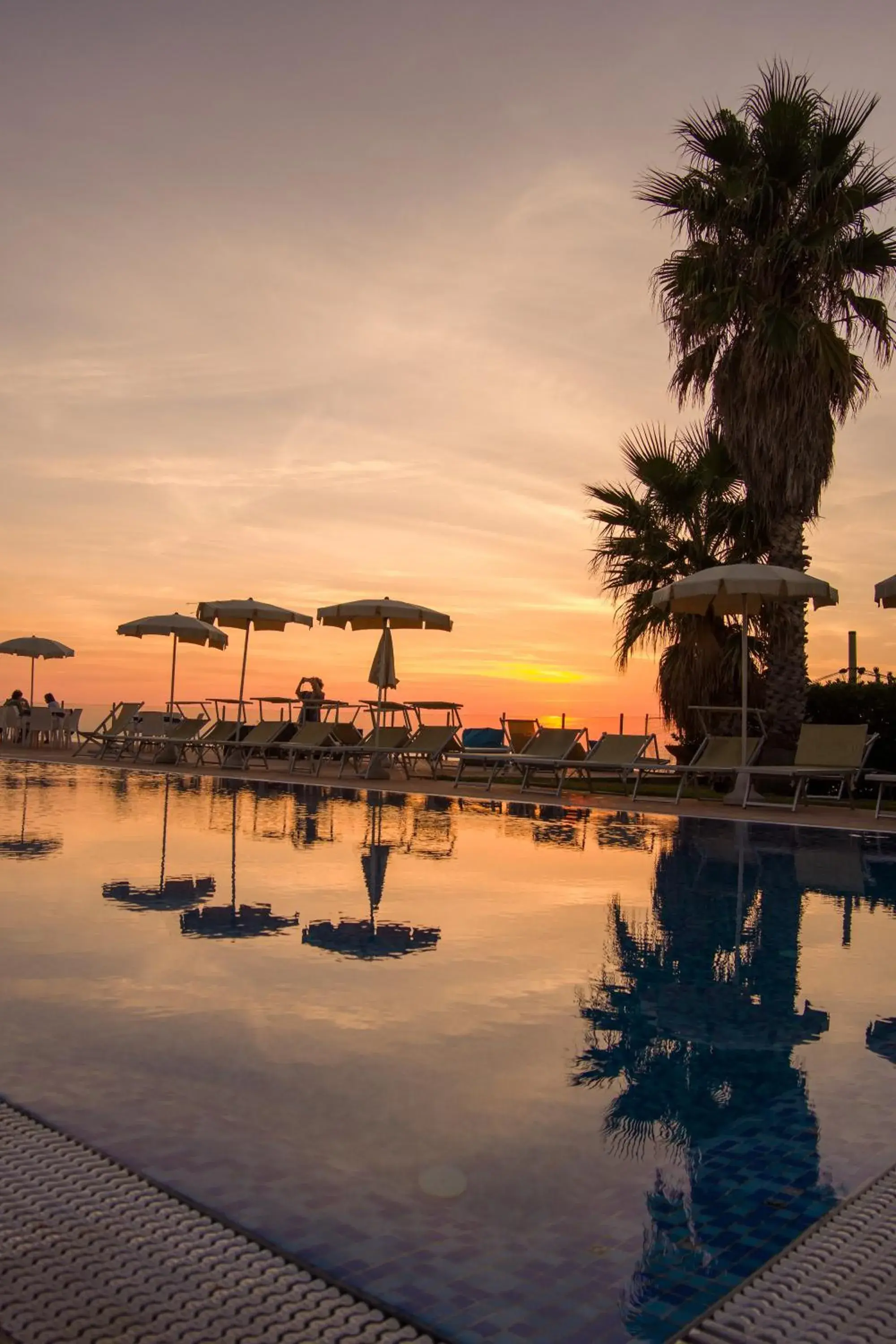 Swimming Pool in Hotel Albatros