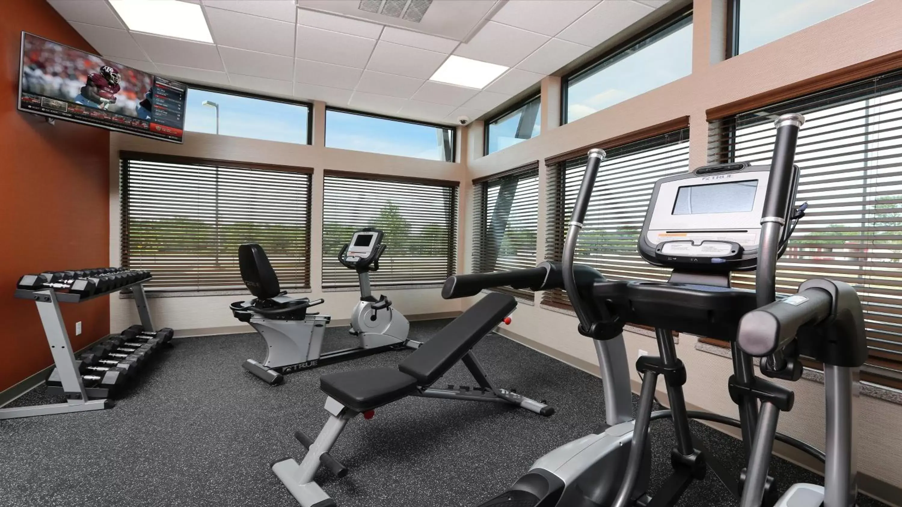 Fitness centre/facilities, Fitness Center/Facilities in Holiday Inn Express Moline - Quad Cities Area, an IHG Hotel