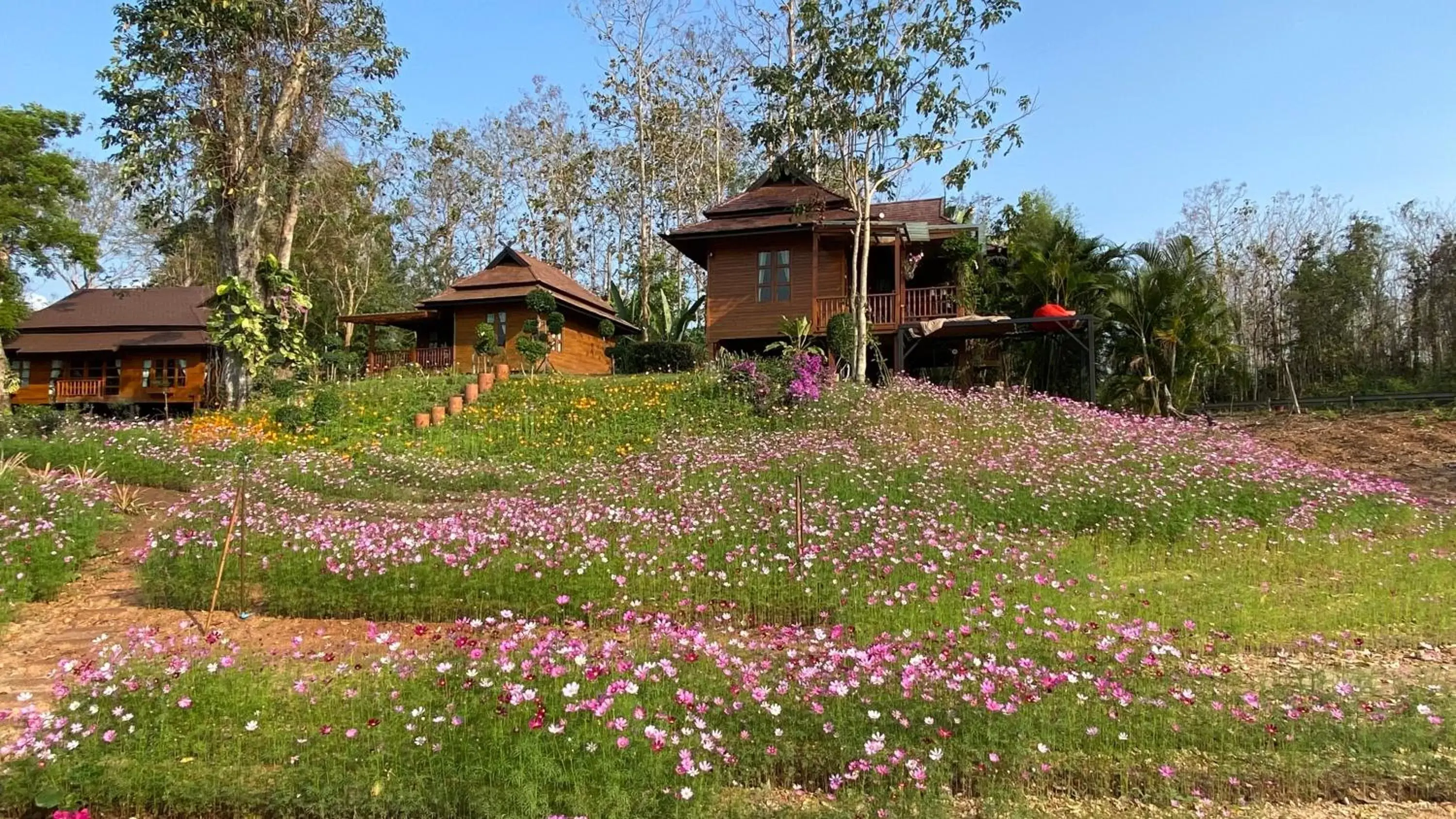 Garden, Property Building in Nan Seasons Boutique Resort