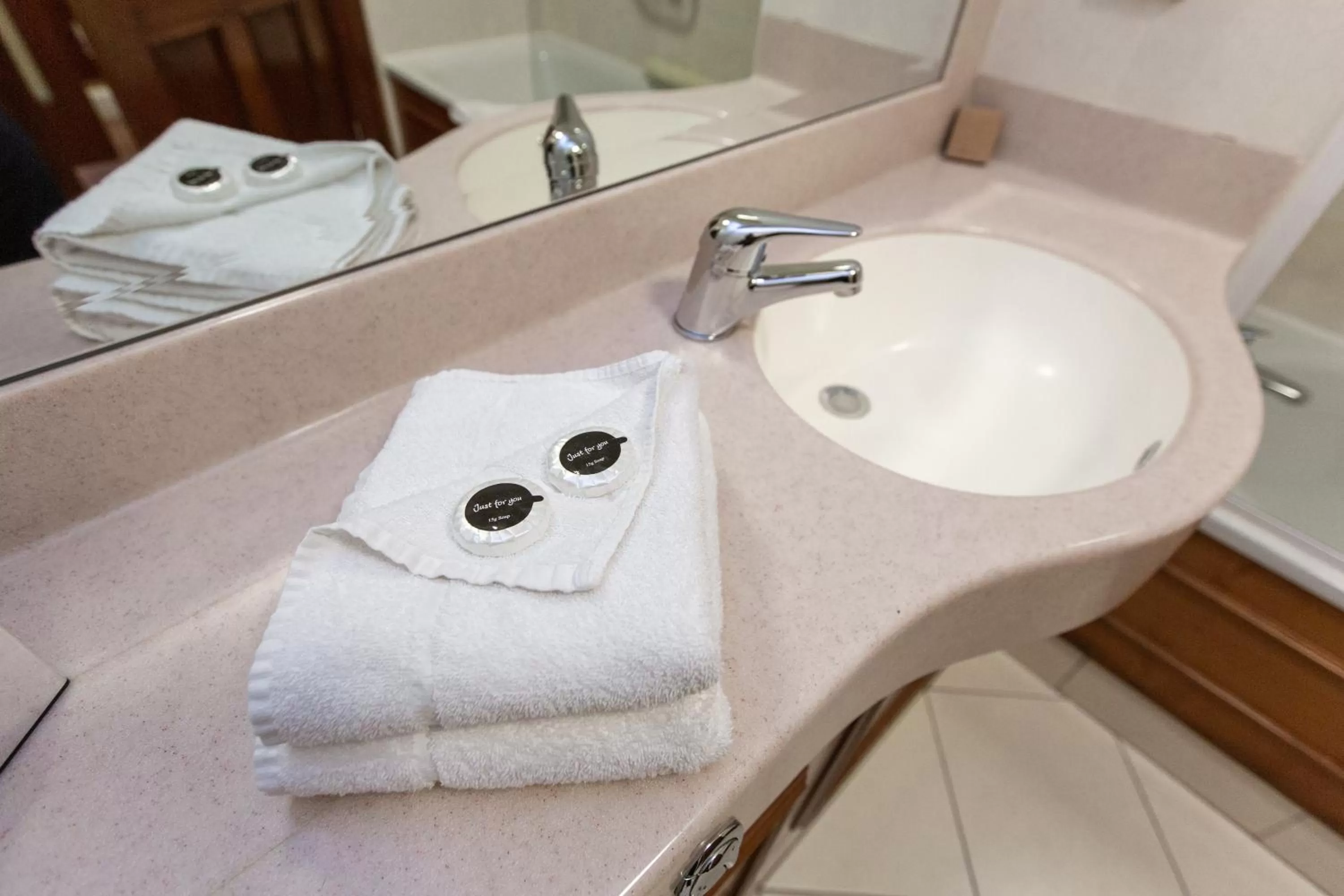 Shower in Hamlet Court Hotel