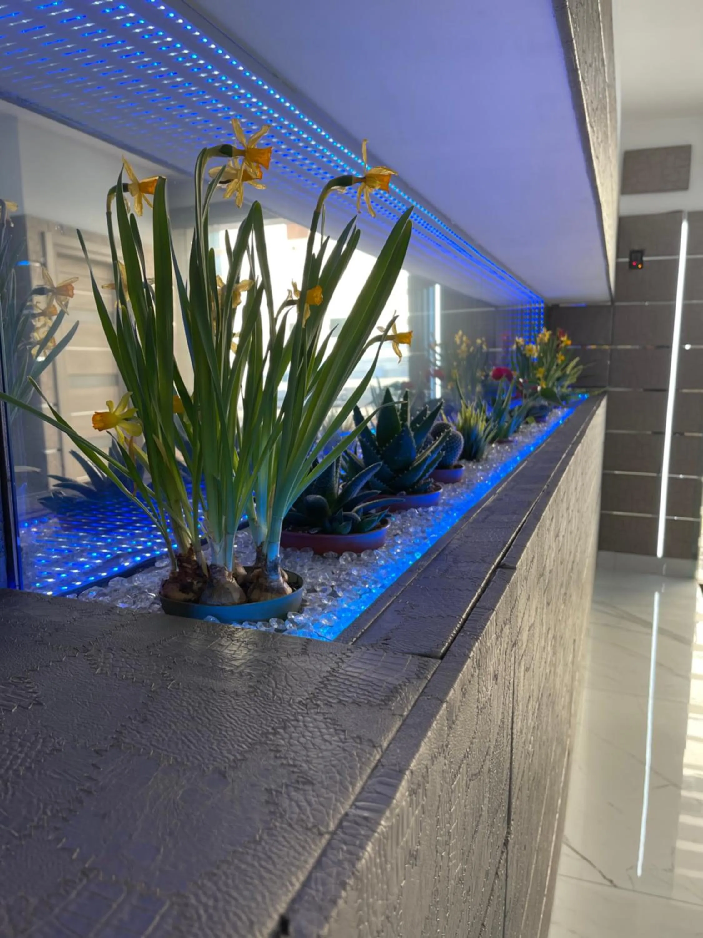 Hotel Pietrarsa Portici