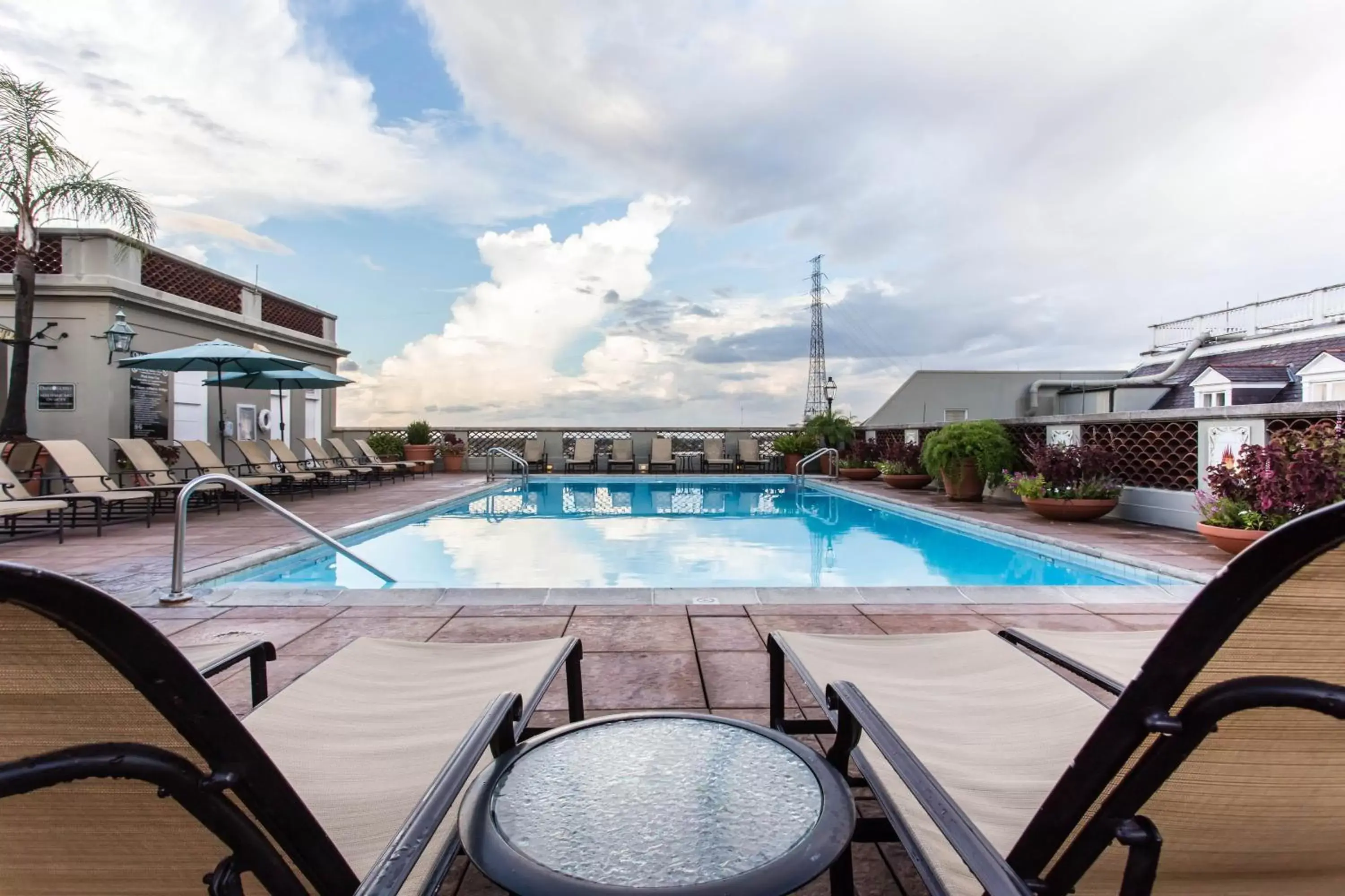 Swimming Pool in Omni Royal Orleans Hotel