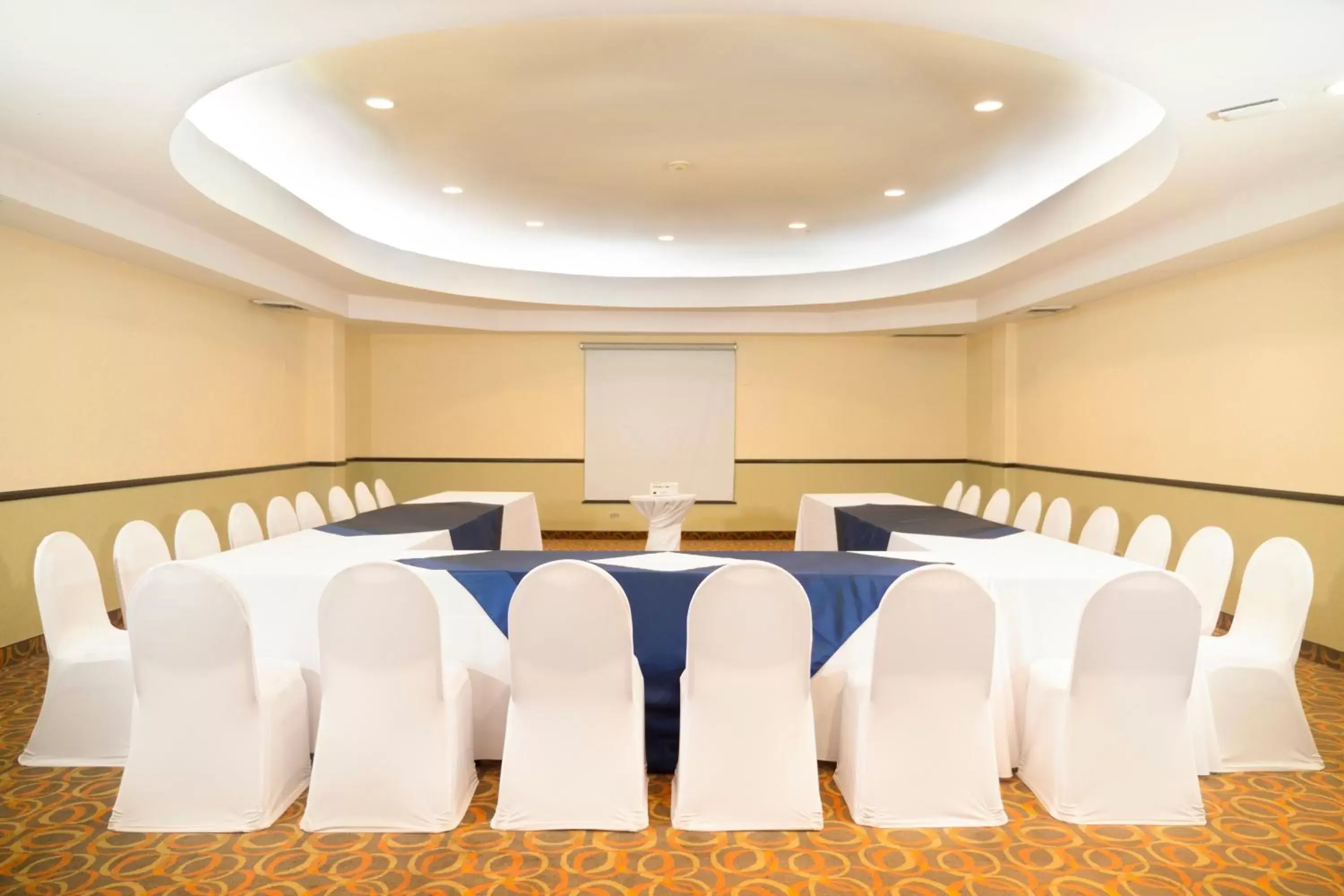 Meeting/conference room in Holiday Inn Tijuana Zona Rio, an IHG Hotel