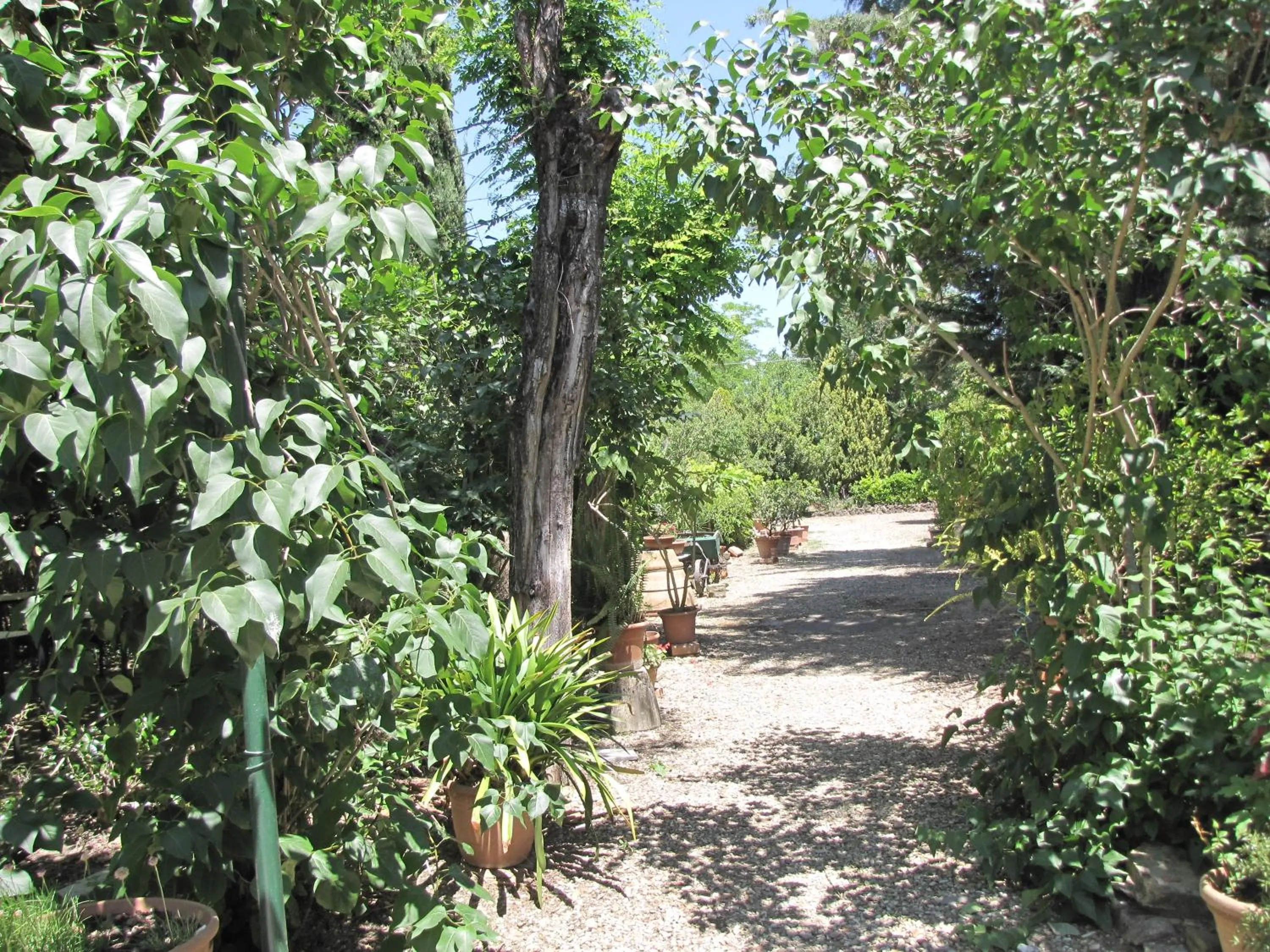 Garden view in Residence Casprini da Omero