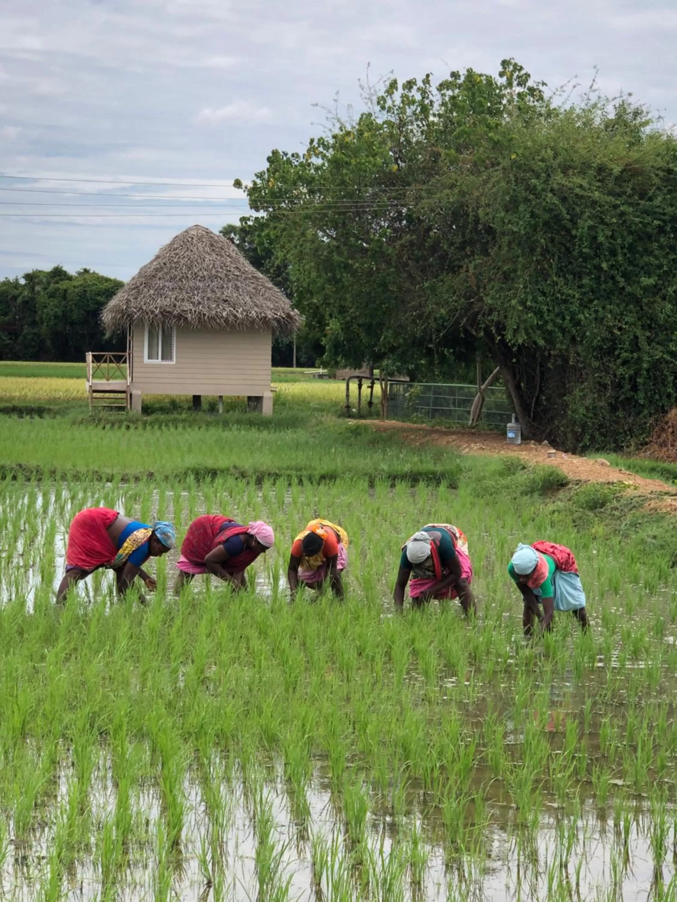 Staff in Marutham Village Resort