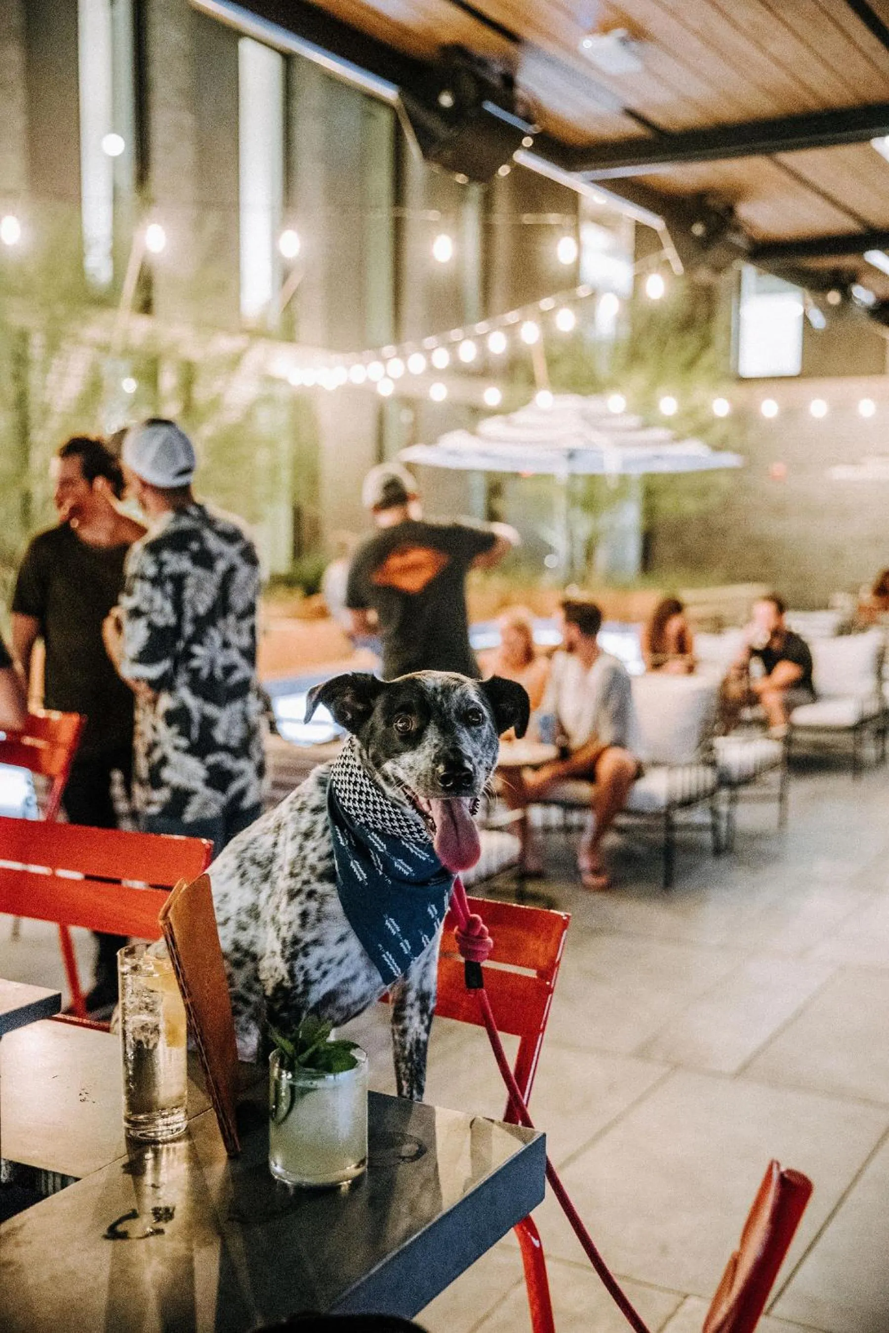 Lounge or bar in ARRIVE Austin