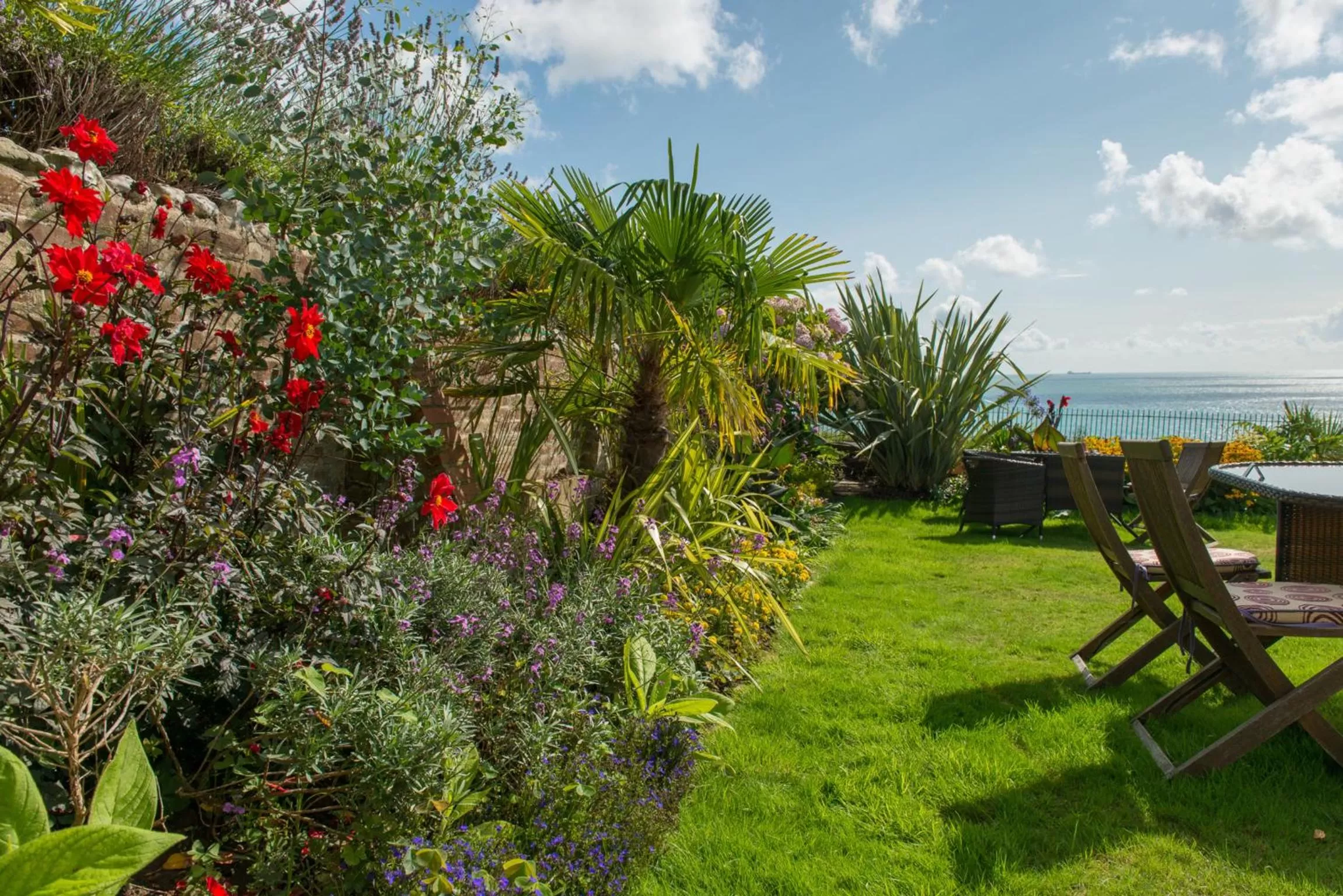 Garden in The Clifton