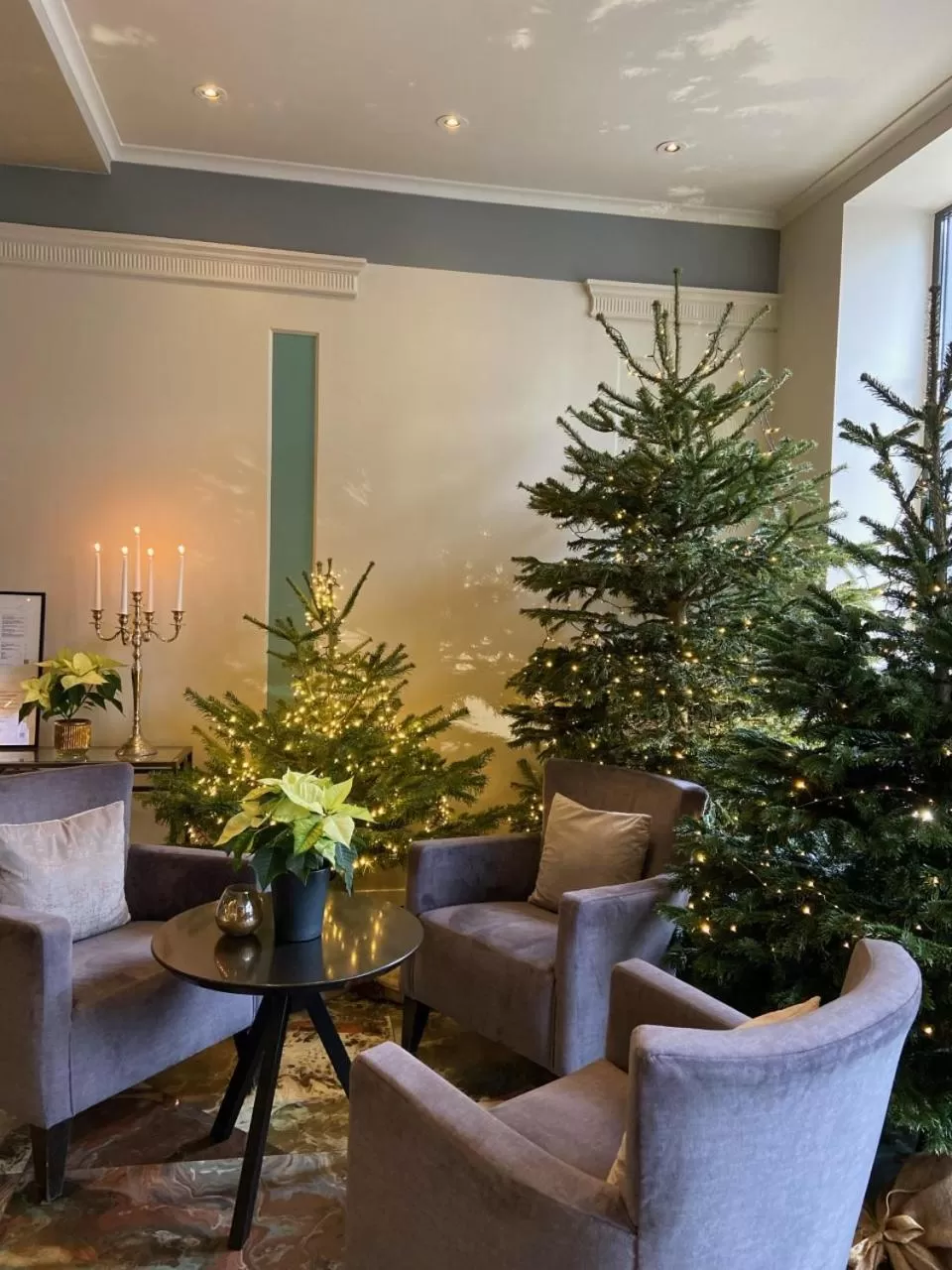 Winter in MERCURE KLAIPEDA CITY HOTEL, Meetings, Events, Restaurant & Bar - Accor Group, Pet Stay FREE