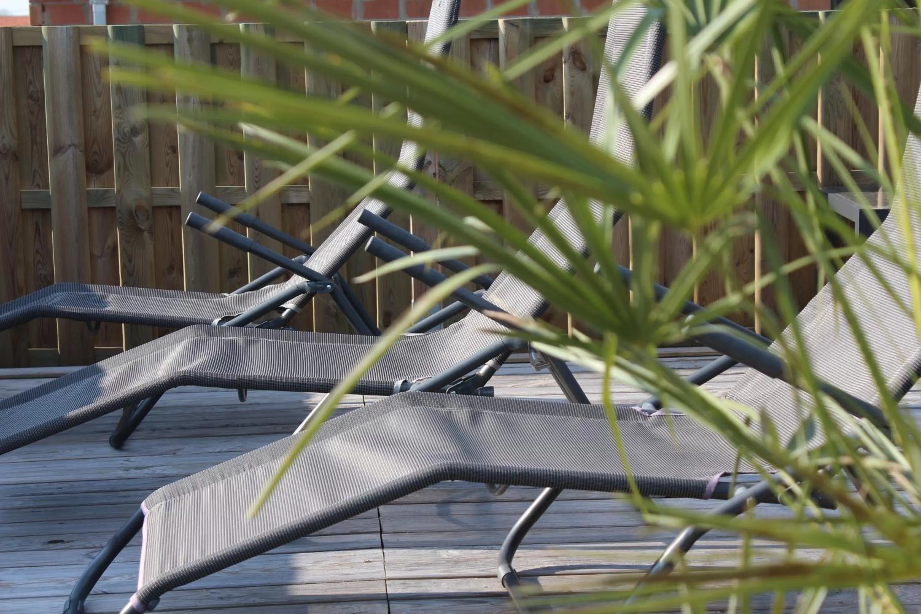 Balcony/Terrace in B&B Afrodite