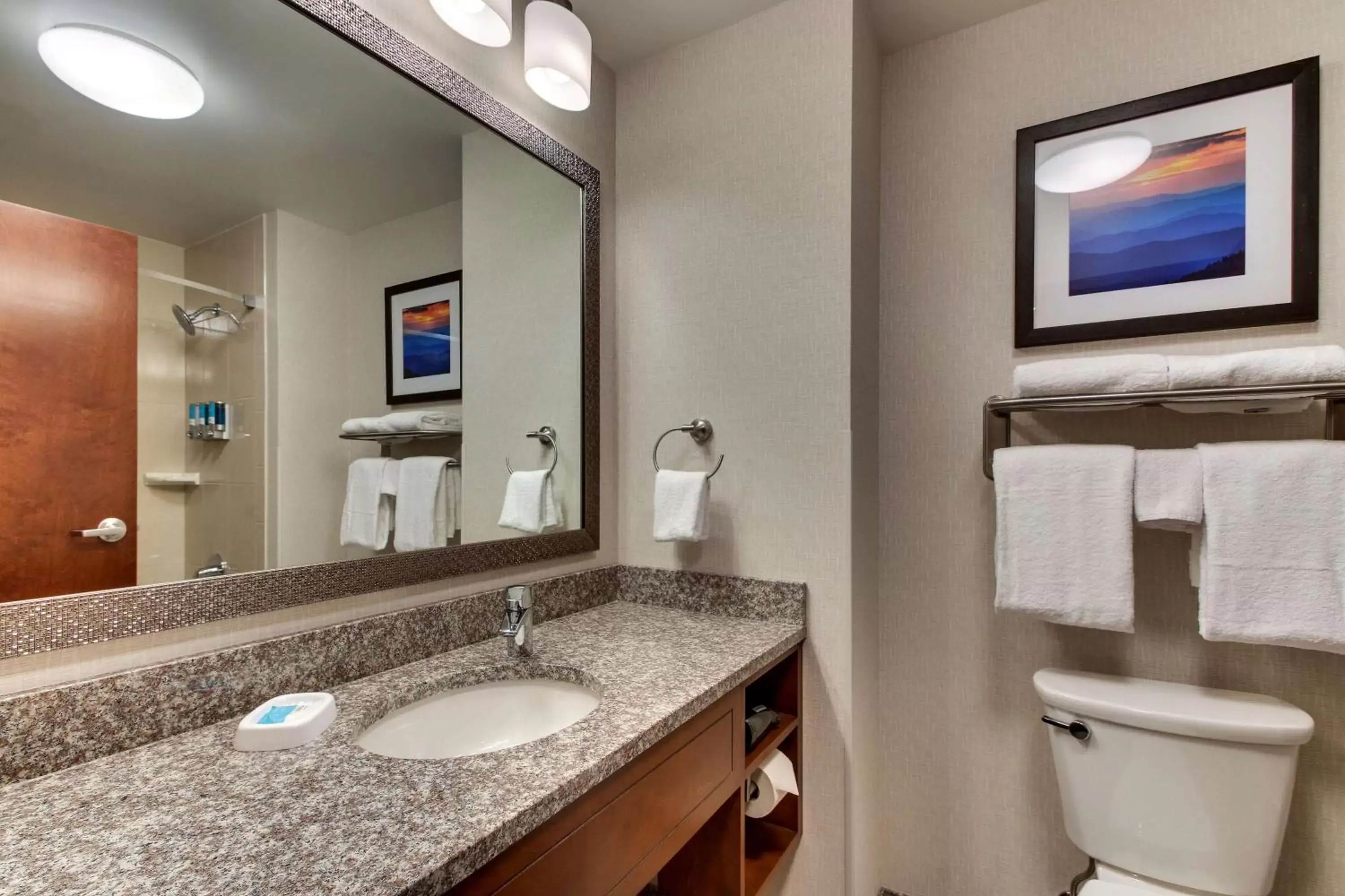 Photo of the whole room, Bathroom in Drury Inn & Suites Knoxville West