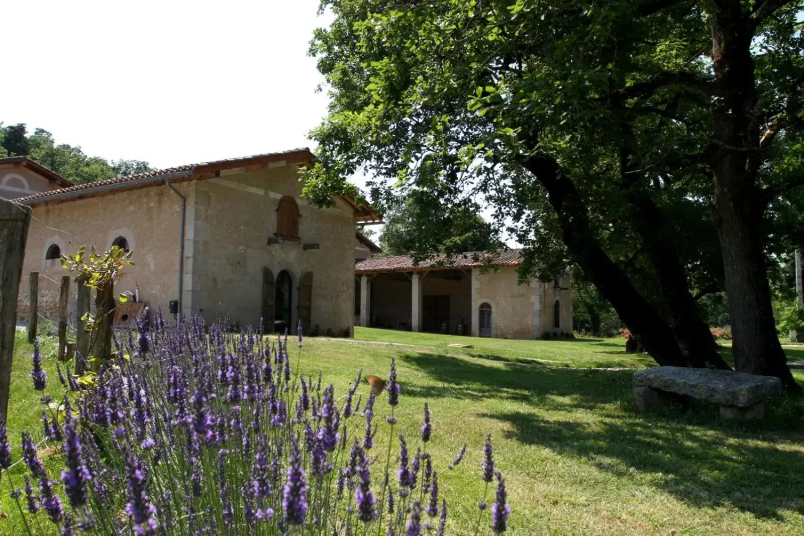 Banquet/Function facilities, Property Building in Domaine Le Castelet