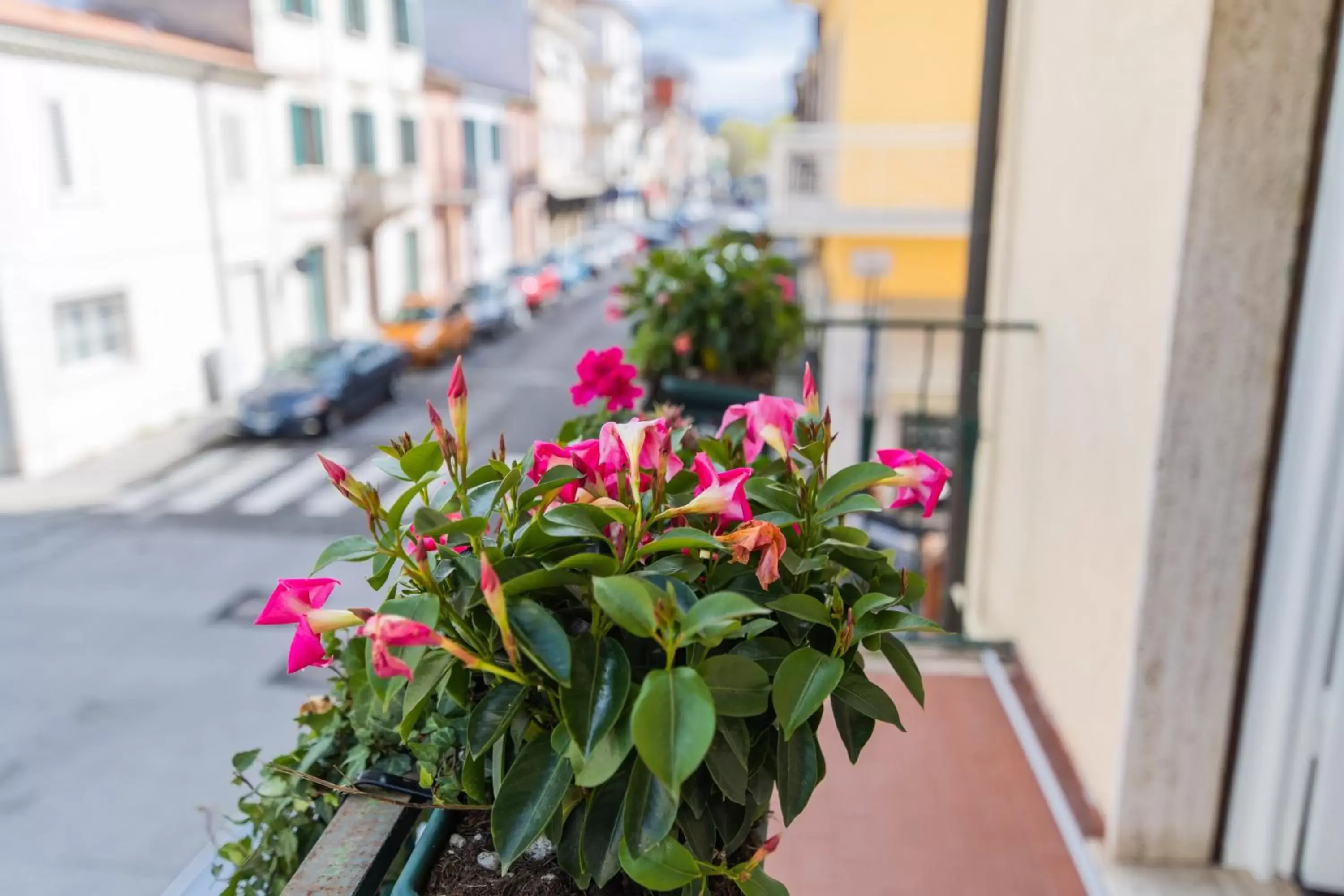 Balcony/Terrace in Casa Fubis