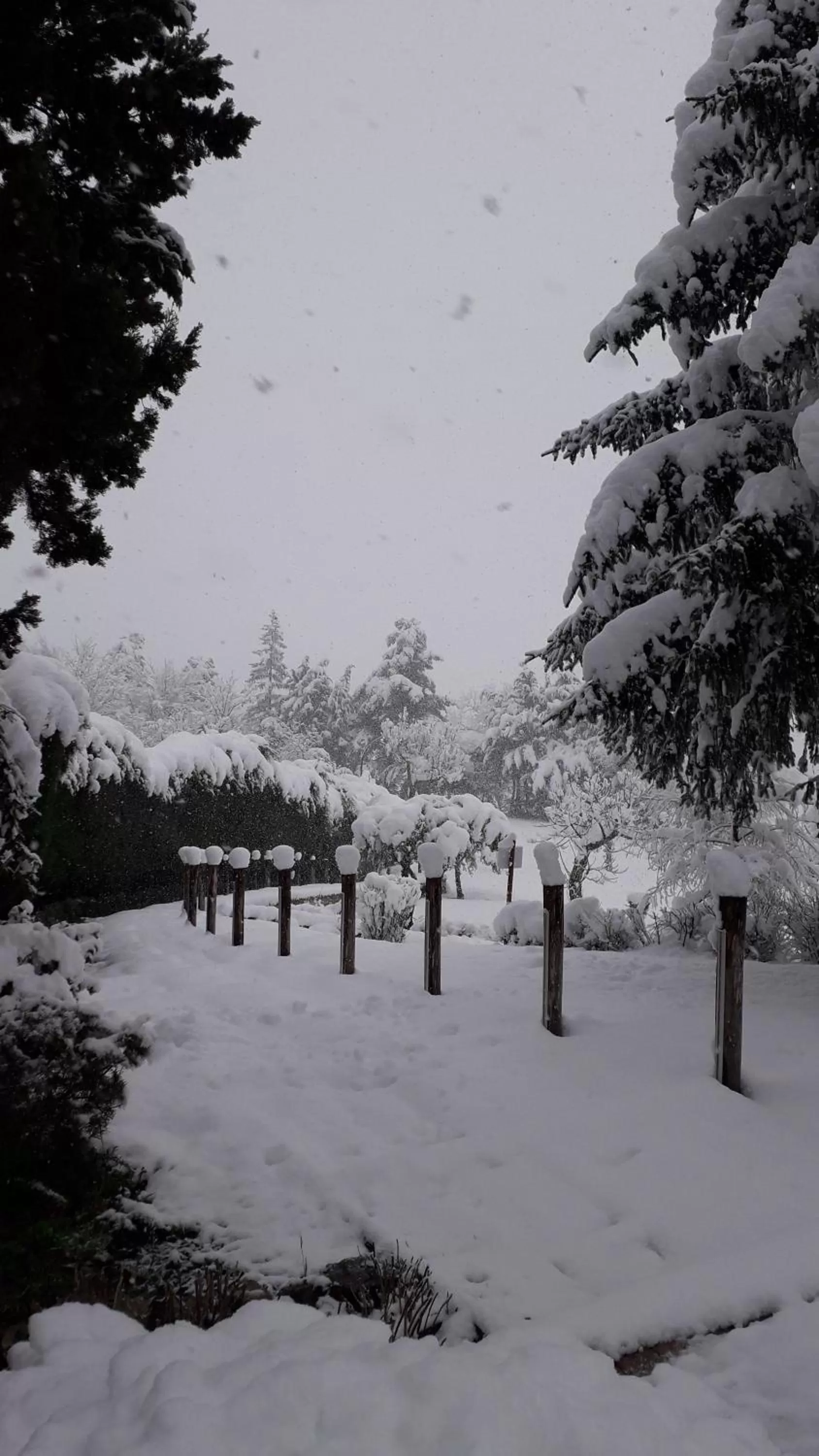 Masseria boutique b&b