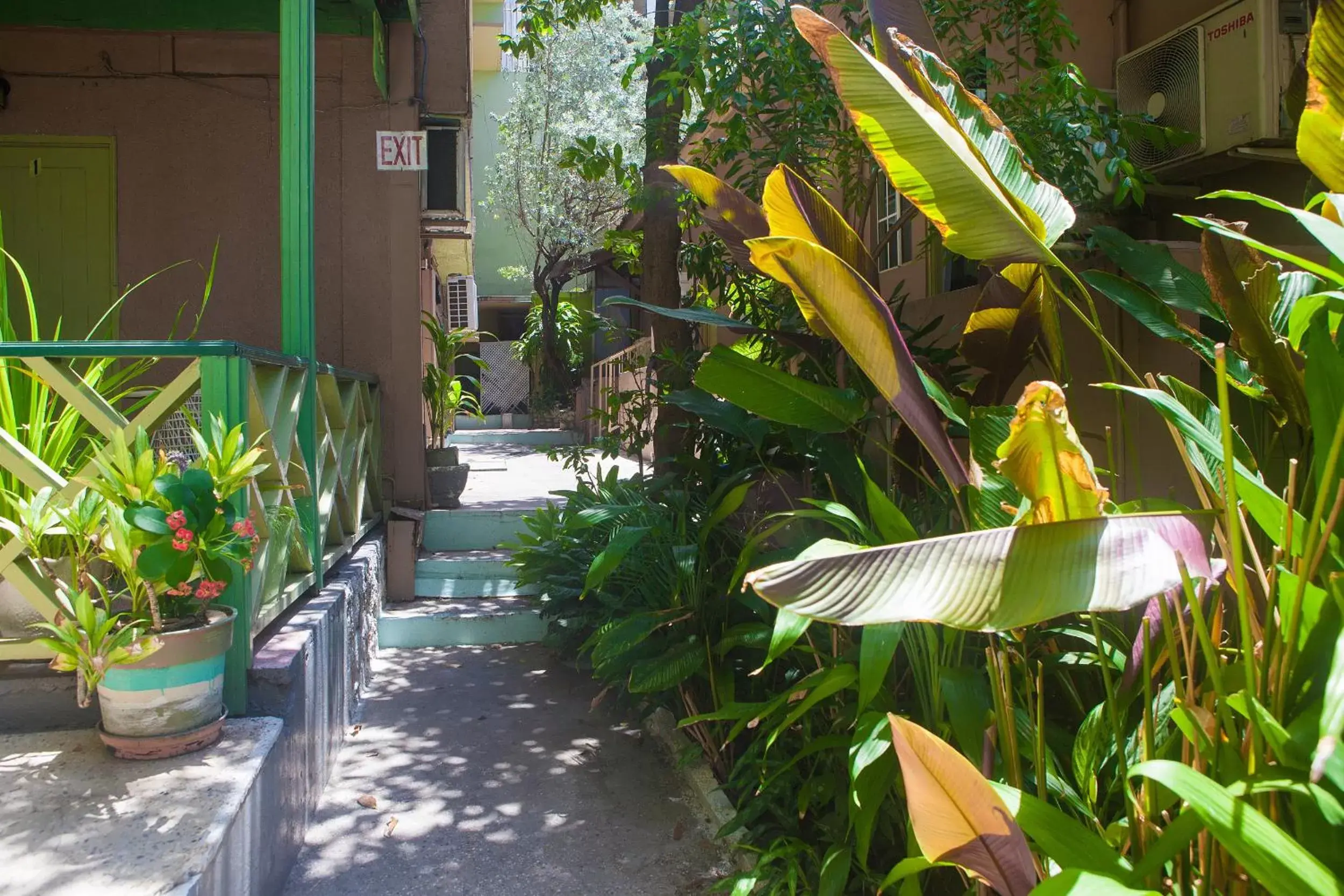 Garden in Caribic House