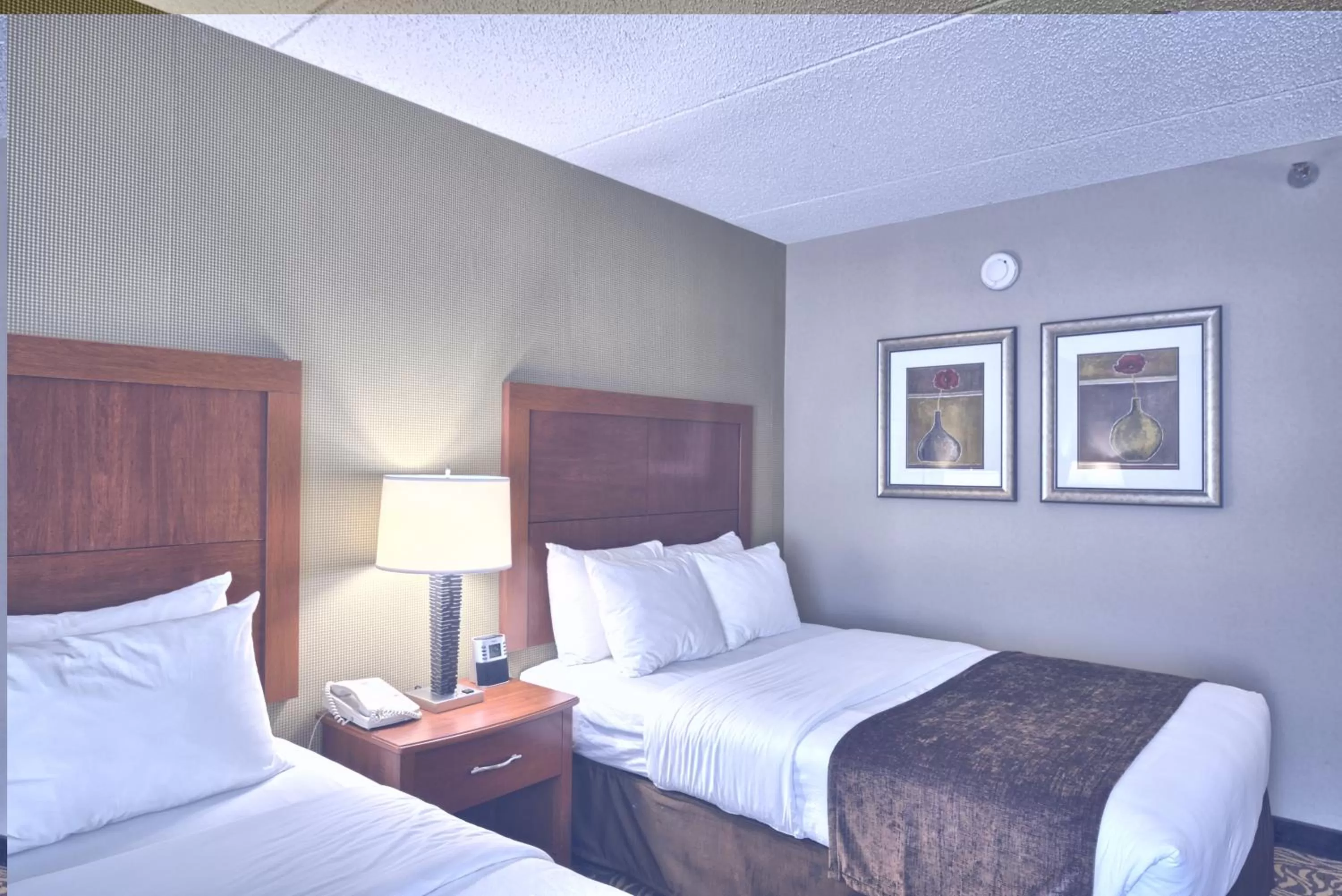 Bed in Clarion Inn & Suites Cortland - University Area