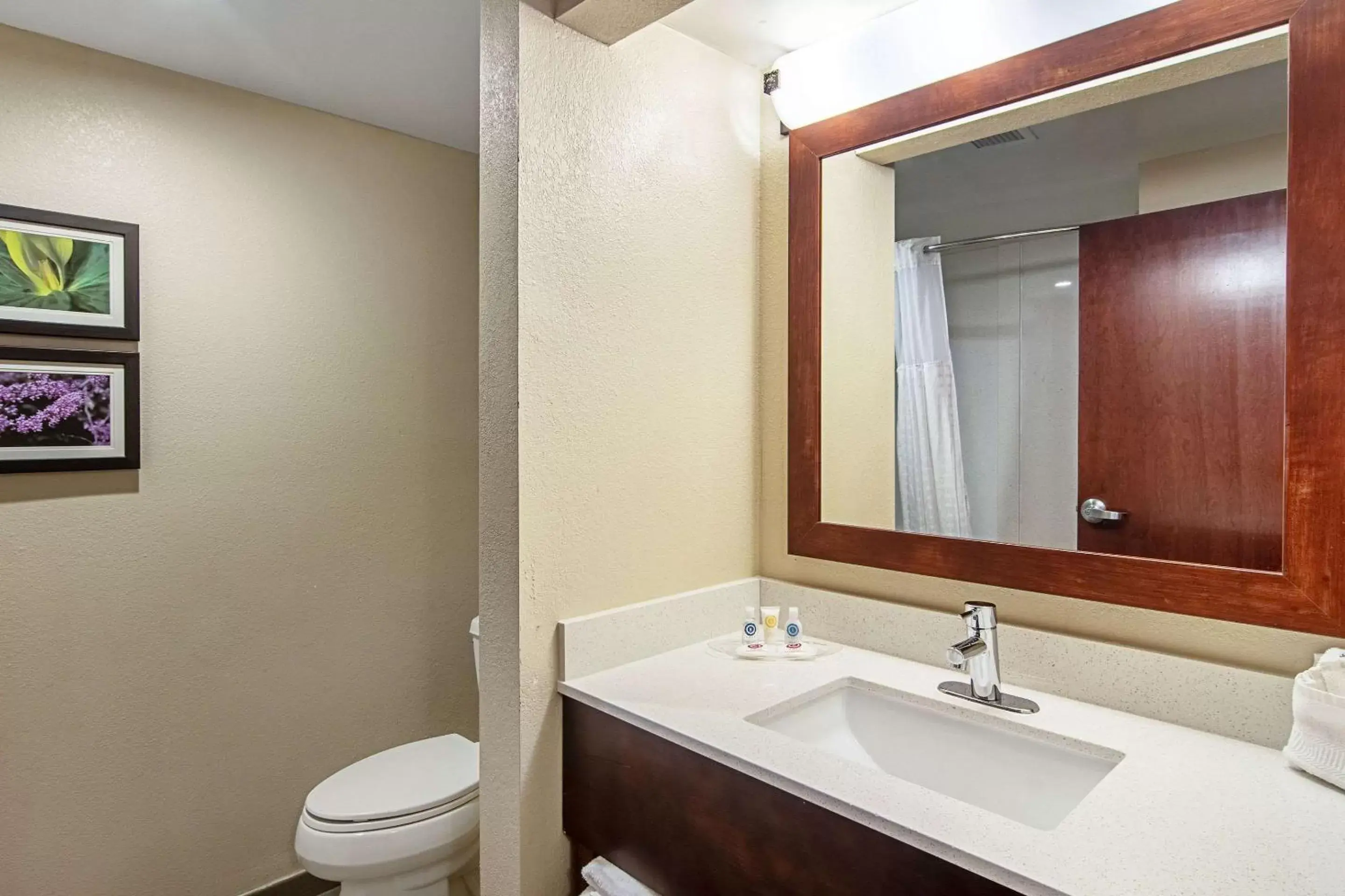 Bathroom in Comfort Suites Airport Alcoa