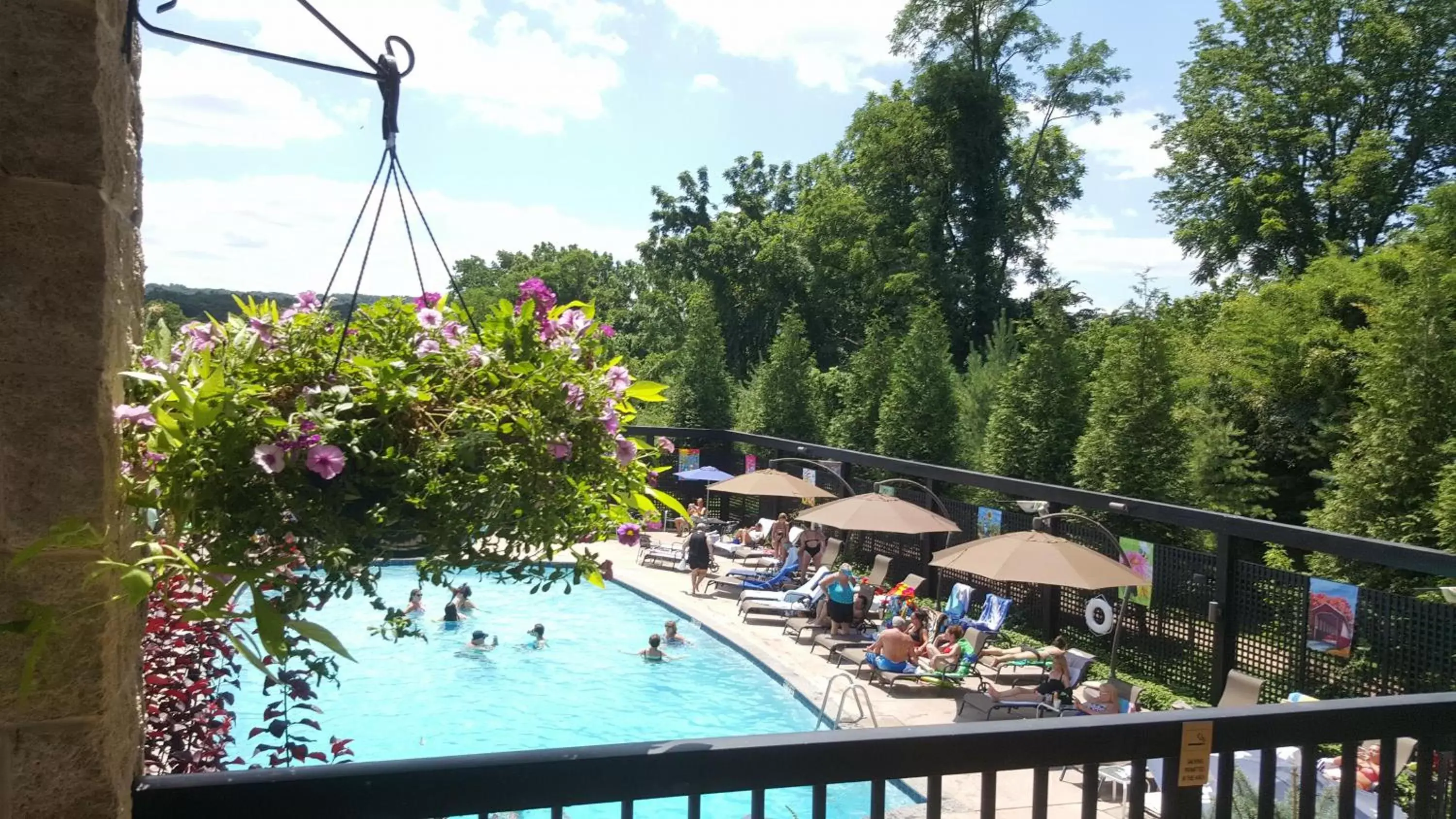 Summer, Pool View in New Hope Inn & Suites