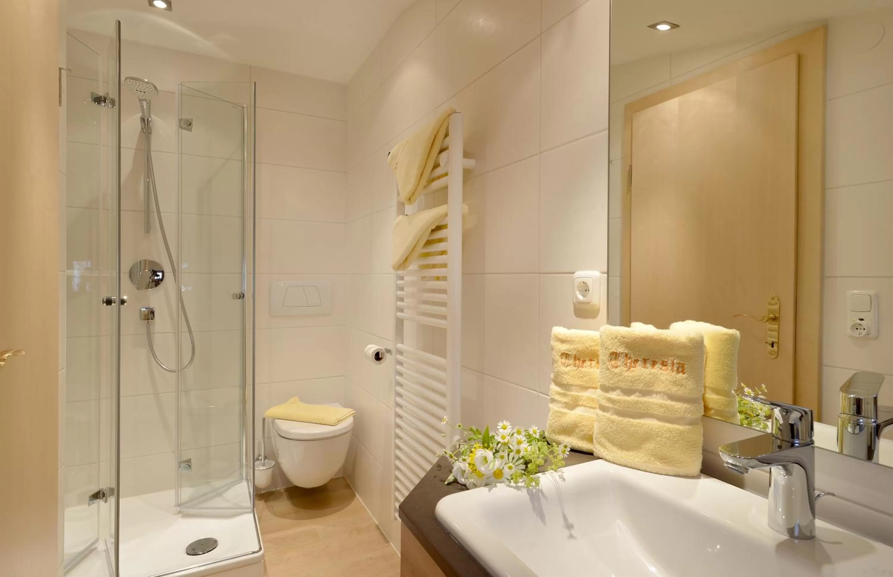 Bathroom in Hotel Theresia Garni