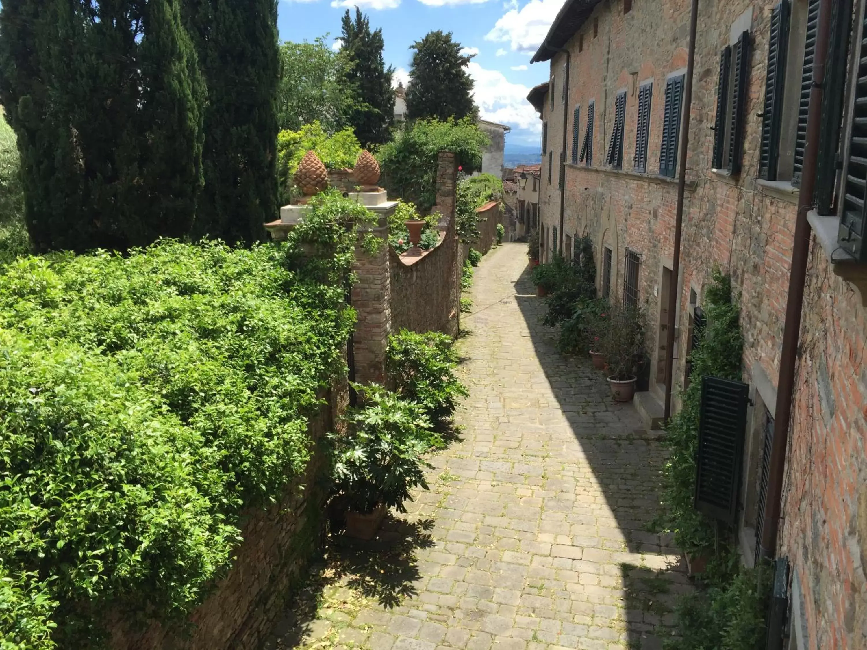 View (from property/room) in antica casa "le rondini"