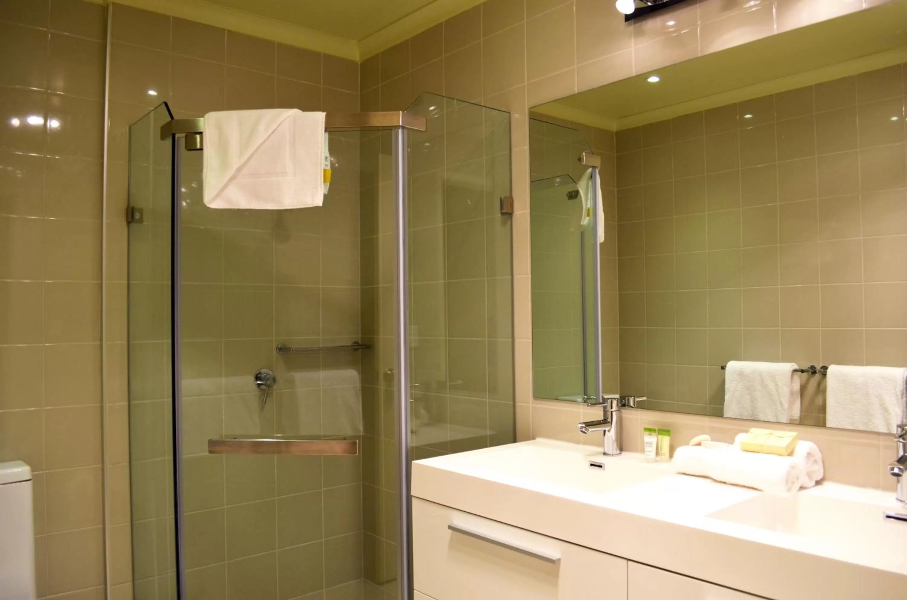 Shower in Best Western Plus Buckingham International
