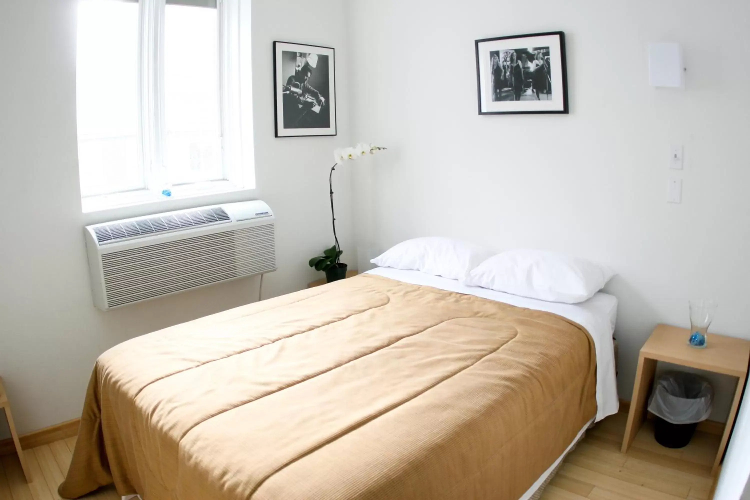 Standard Room with Double Bed and Private Bathroom in The Rex Hotel Jazz & Blues Bar Standard Room with Double Bed and Private Bathroom in The Rex Hotel Jazz & Blues Bar