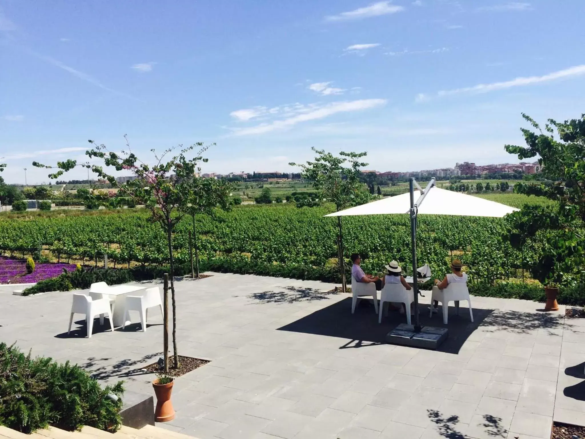 Balcony/Terrace in Mastinell Cava & Boutique Hotel by Olivia Hotels Collection