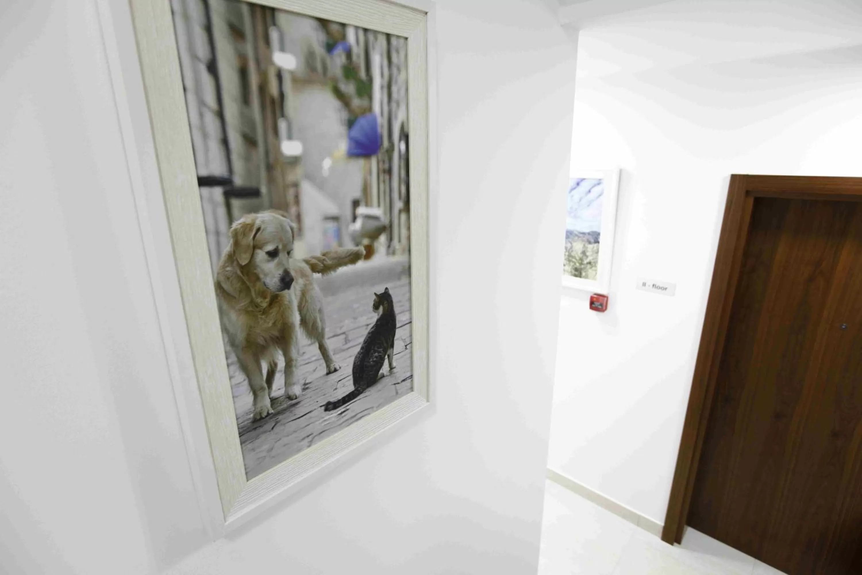 Decorative detail in Garni Hotel Arka