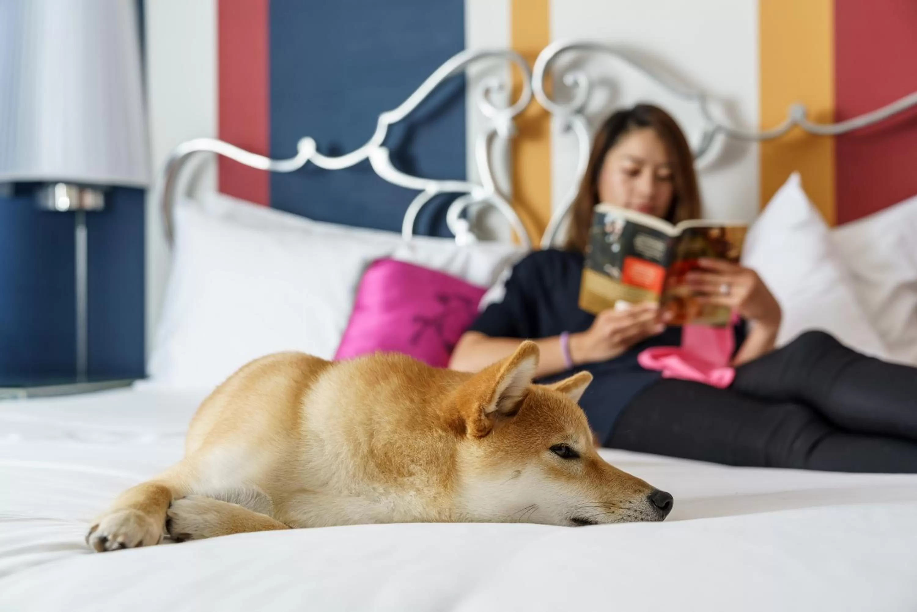 Pets, Bed in The Marker Union Square San Francisco