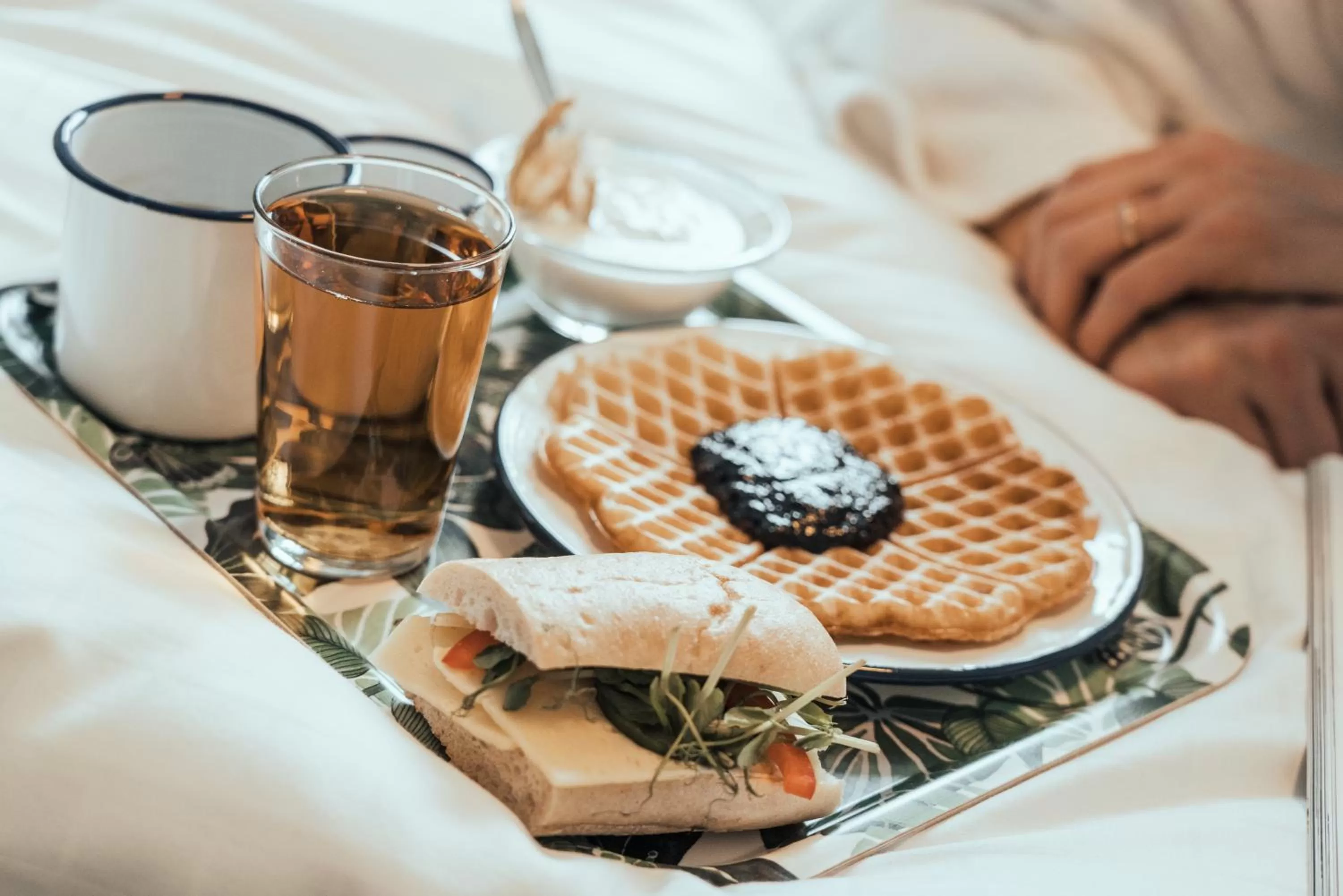 Food and drinks in Botanika Uppsala