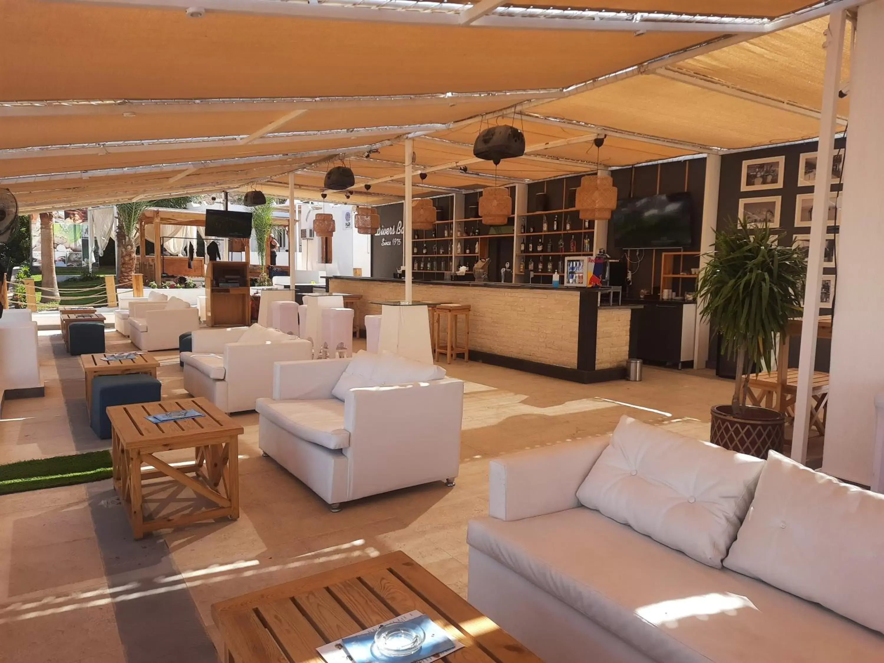 Lounge or bar in Marina Sharm Hotel