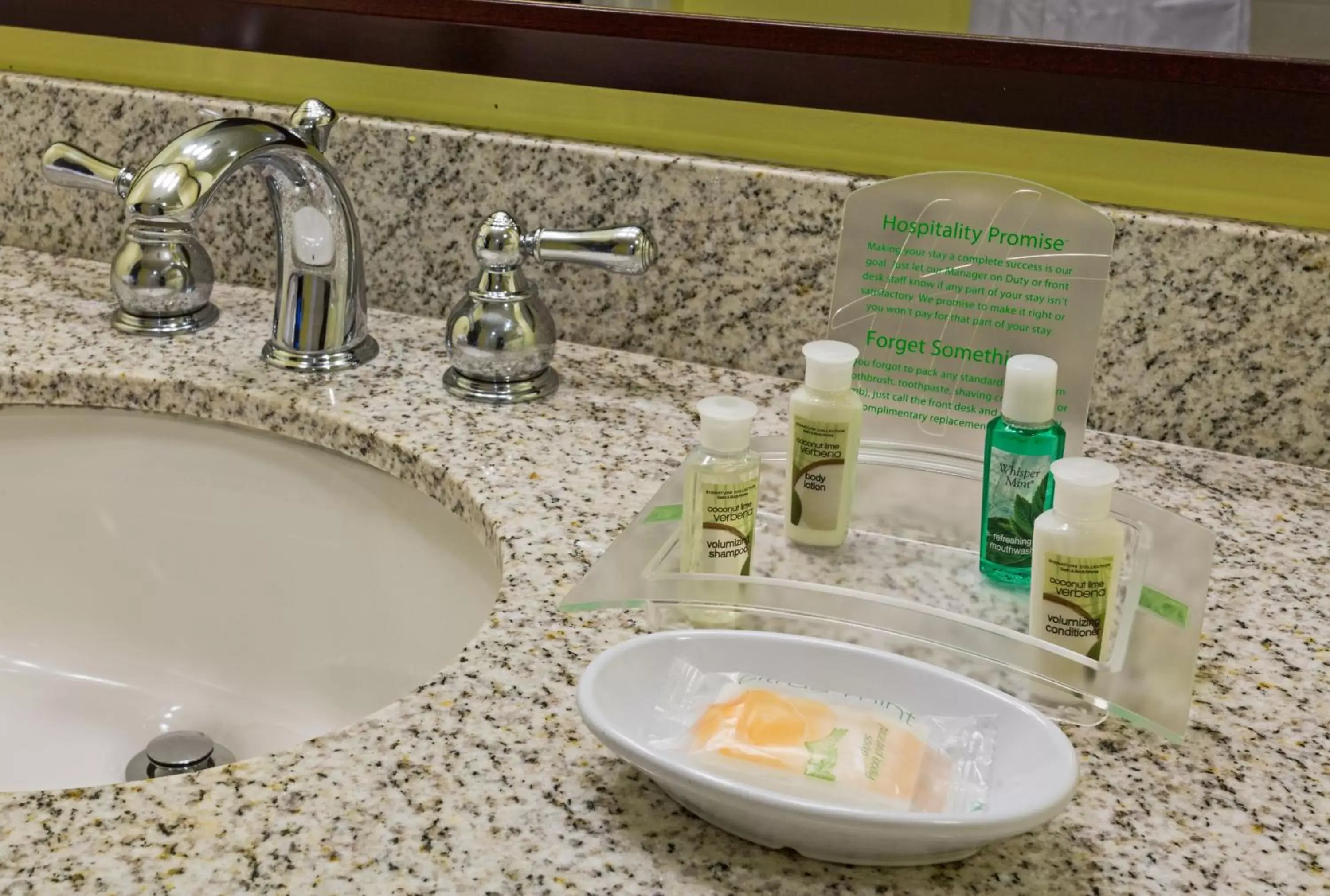 Bathroom in Holiday Inn Hotel French Quarter-Chateau Lemoyne, an IHG Hotel