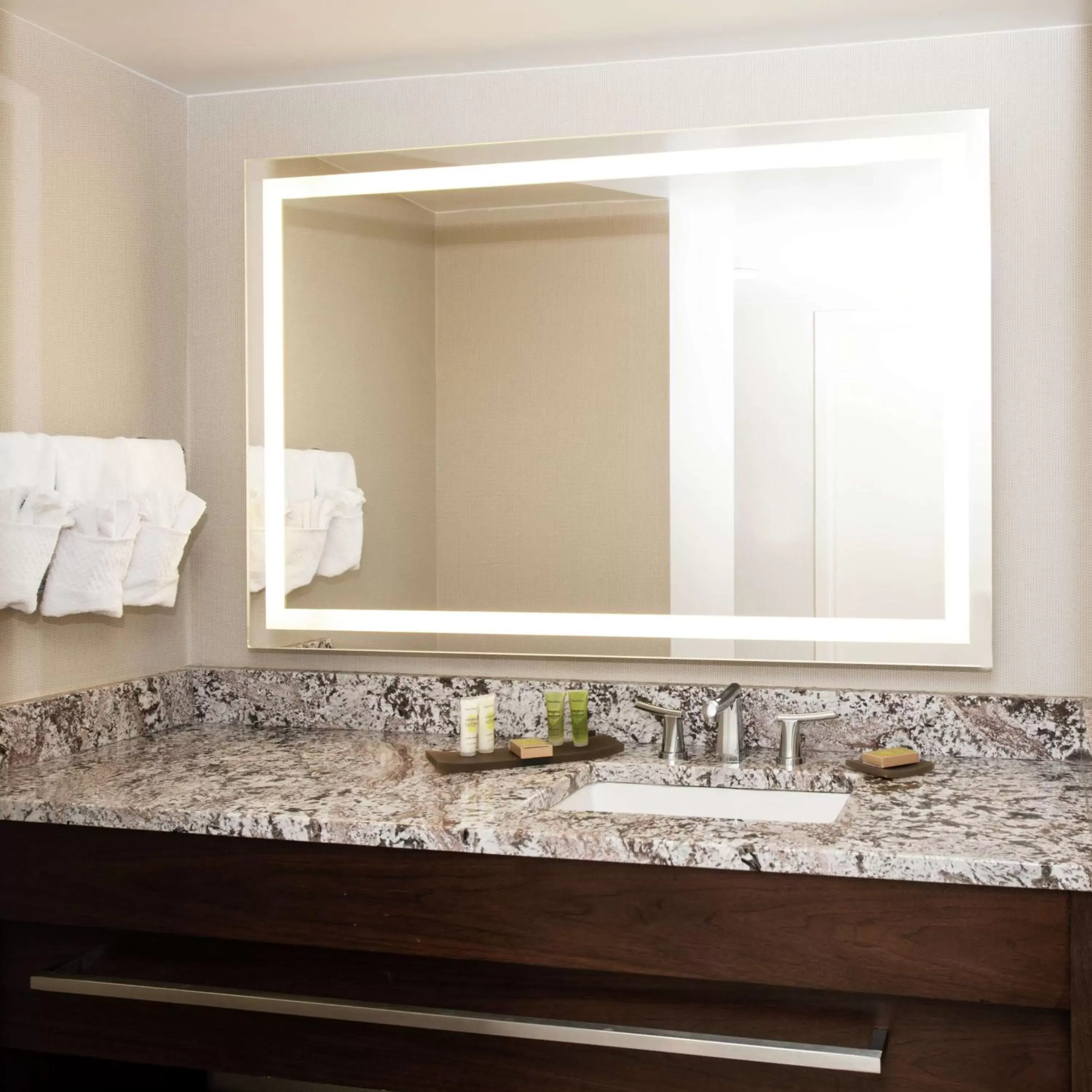 Bathroom in Hilton Arlington National Landing