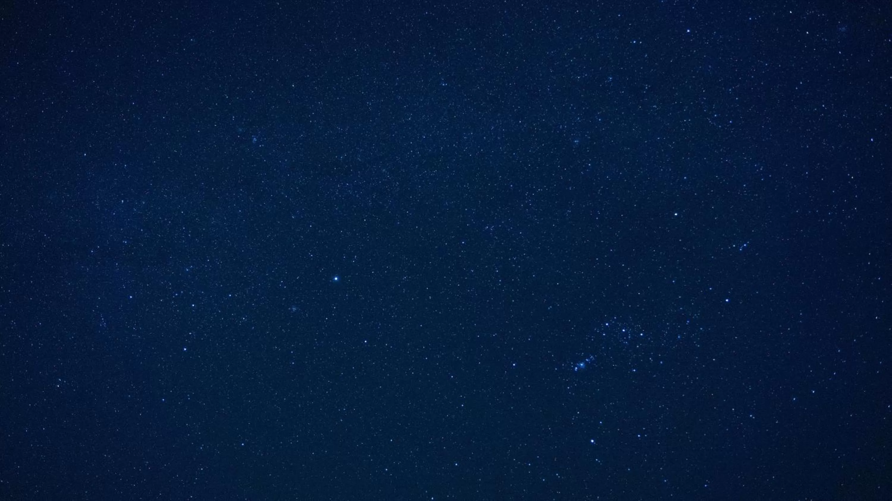Night, Other Animals in Baja Temple