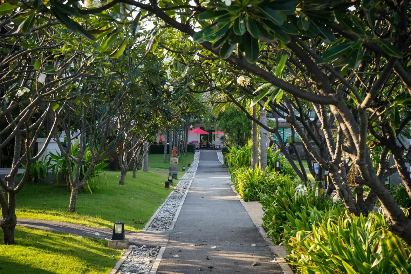 Garden in i Tara Resort & Spa