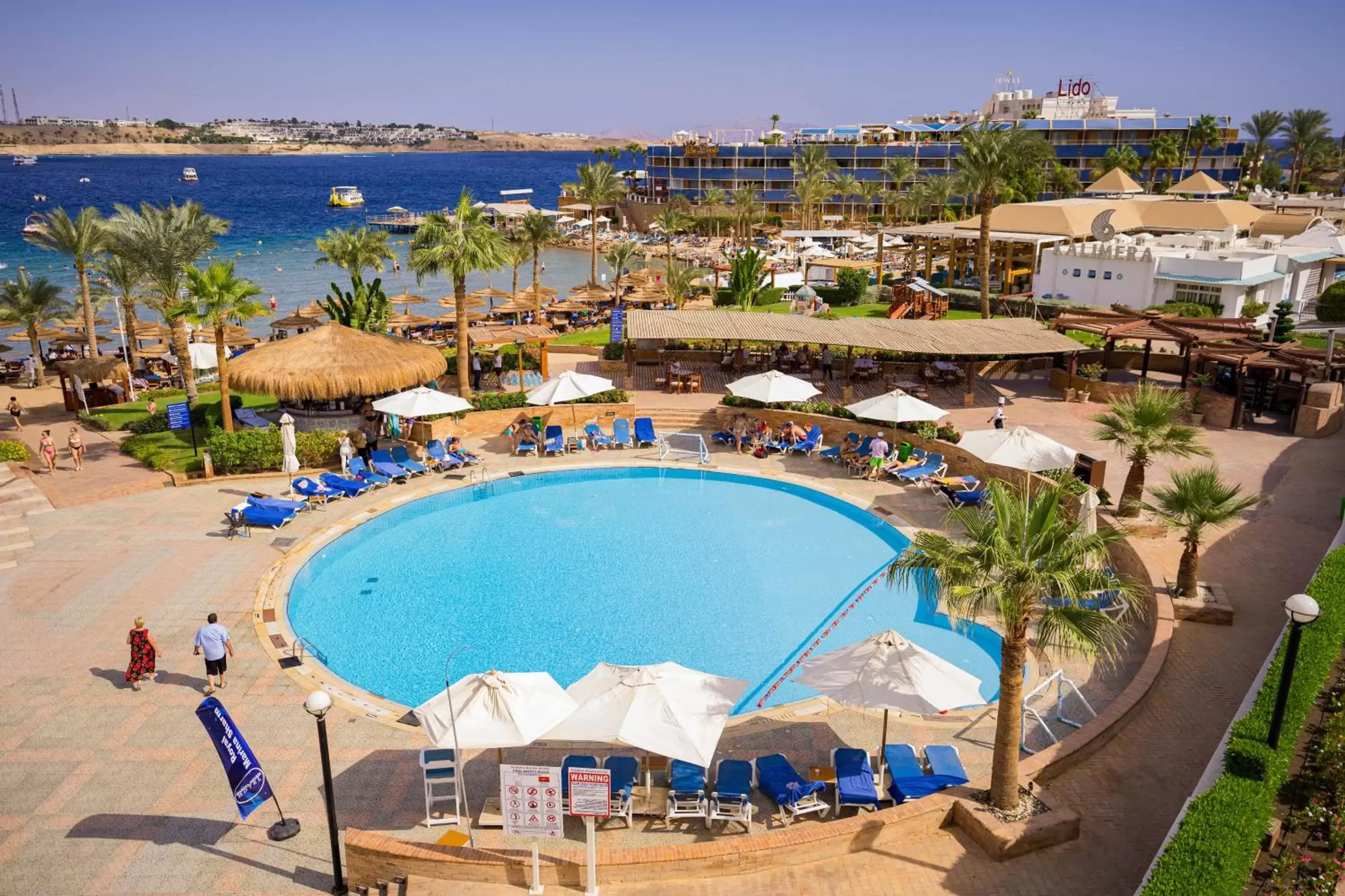 Swimming pool, Pool View in Marina Sharm Hotel