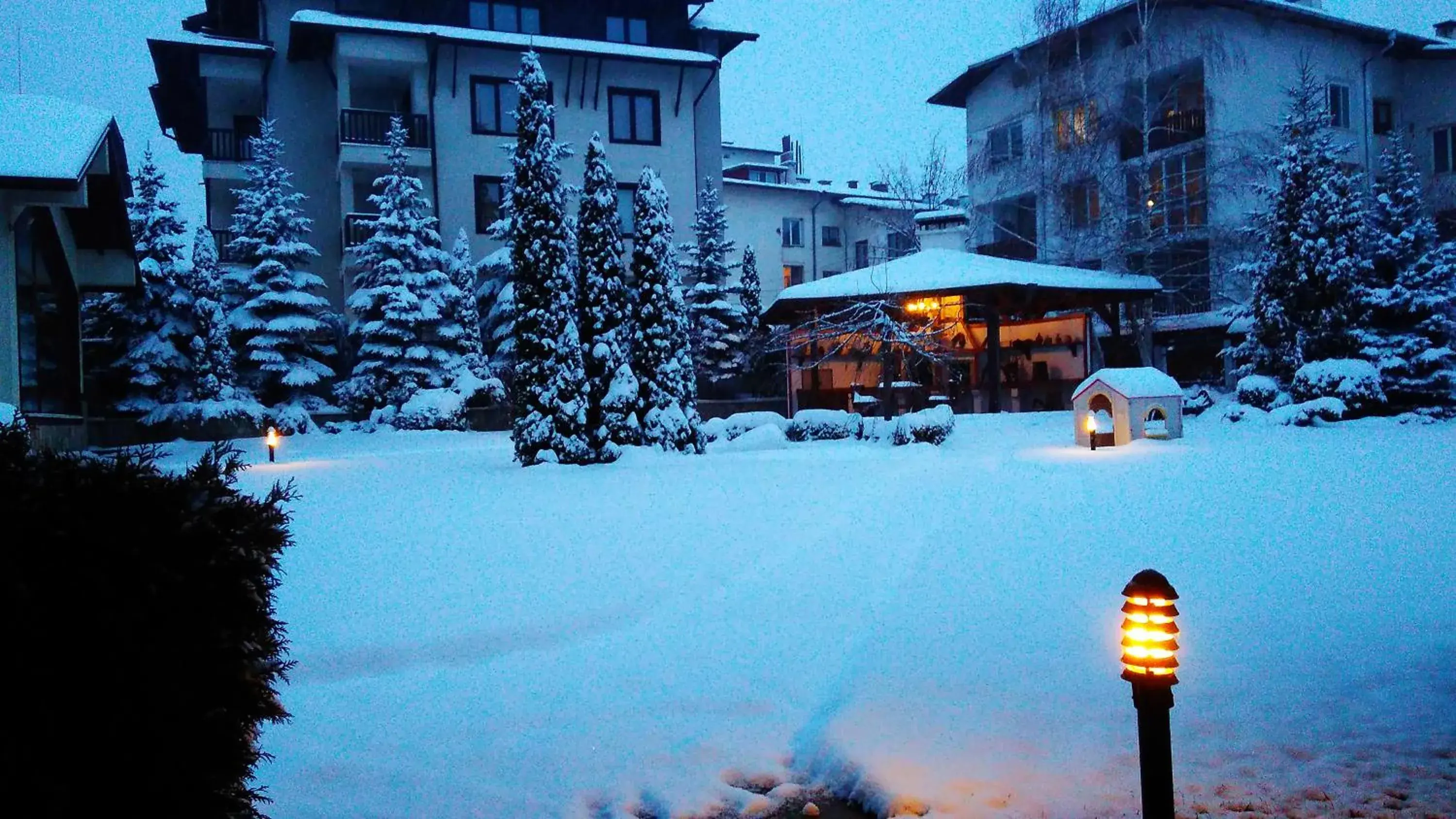 Garden, Winter in Evelina Palace Hotel
