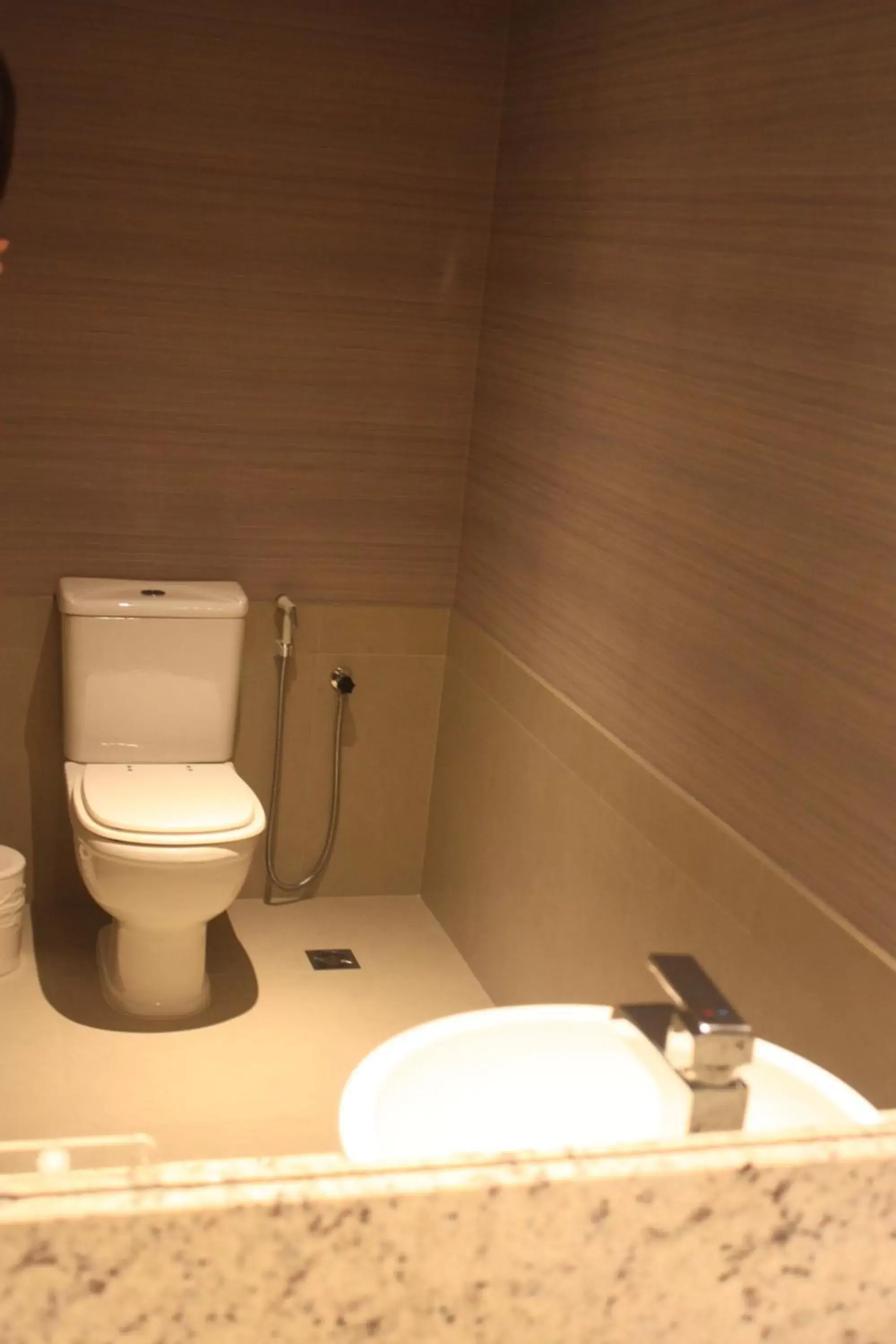 Toilet, Bathroom in Radisson Hotel Curitiba